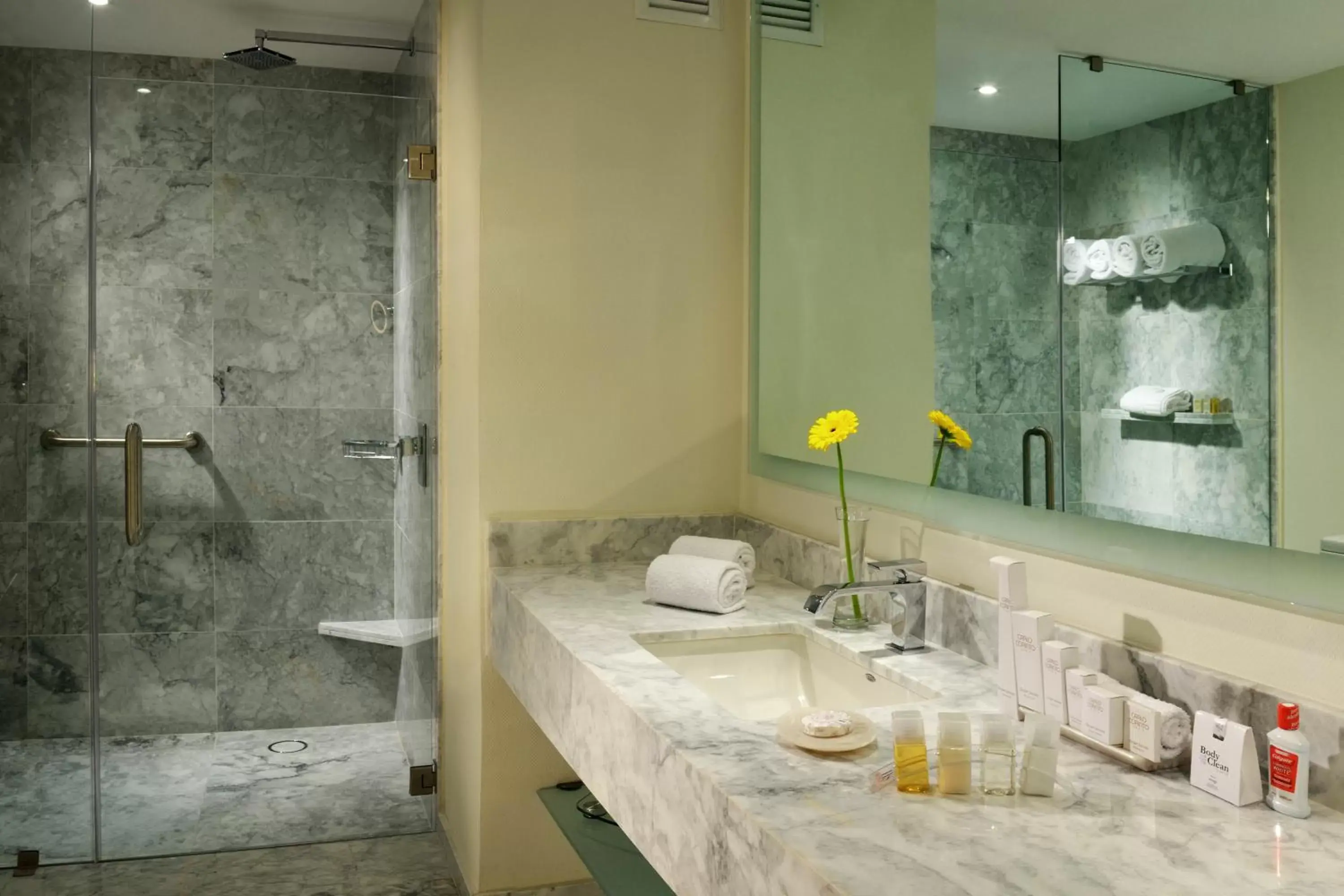 Bathroom in HS HOTSSON Hotel Silao