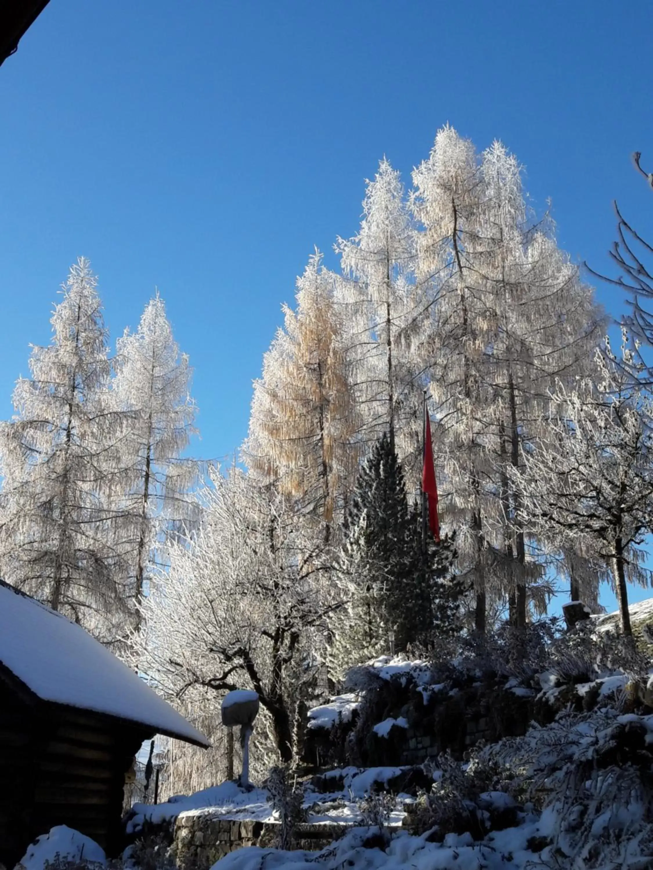Natural landscape, Winter in Hotel Appenberg