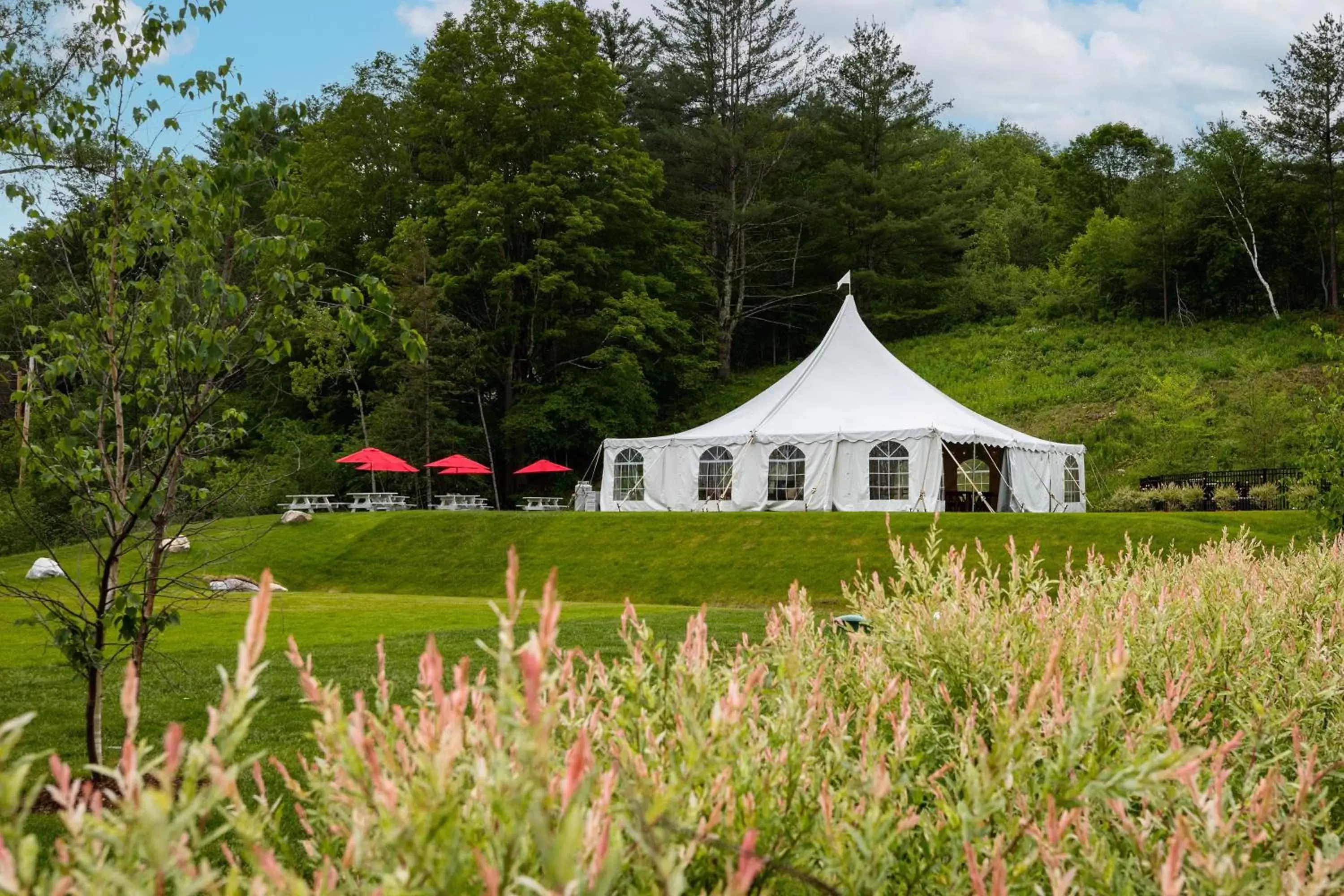 Natural landscape in The Barnstead Inn