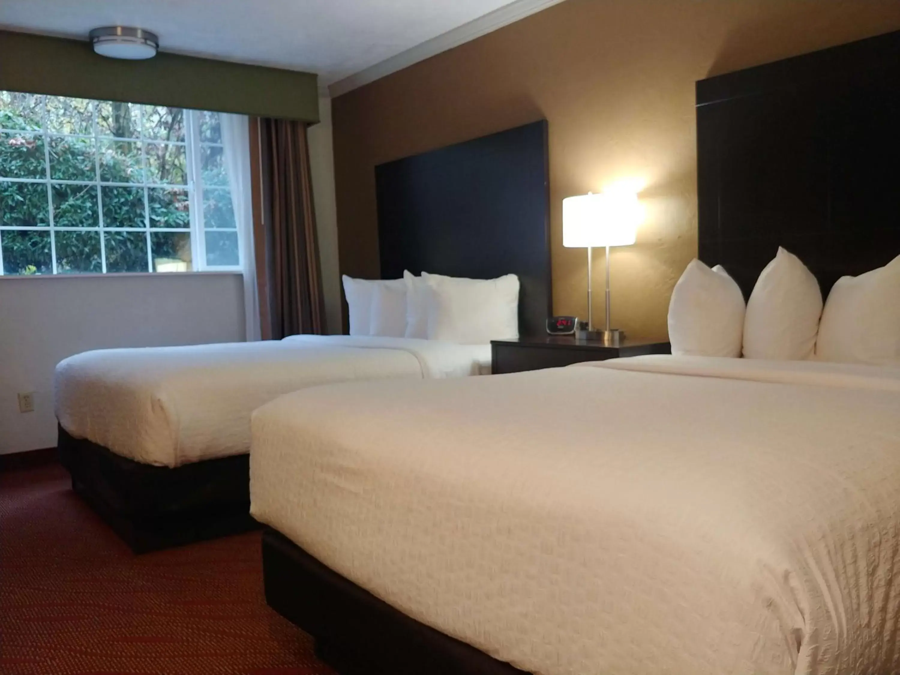 Photo of the whole room, Bed in Best Western Plus Parkway Inn