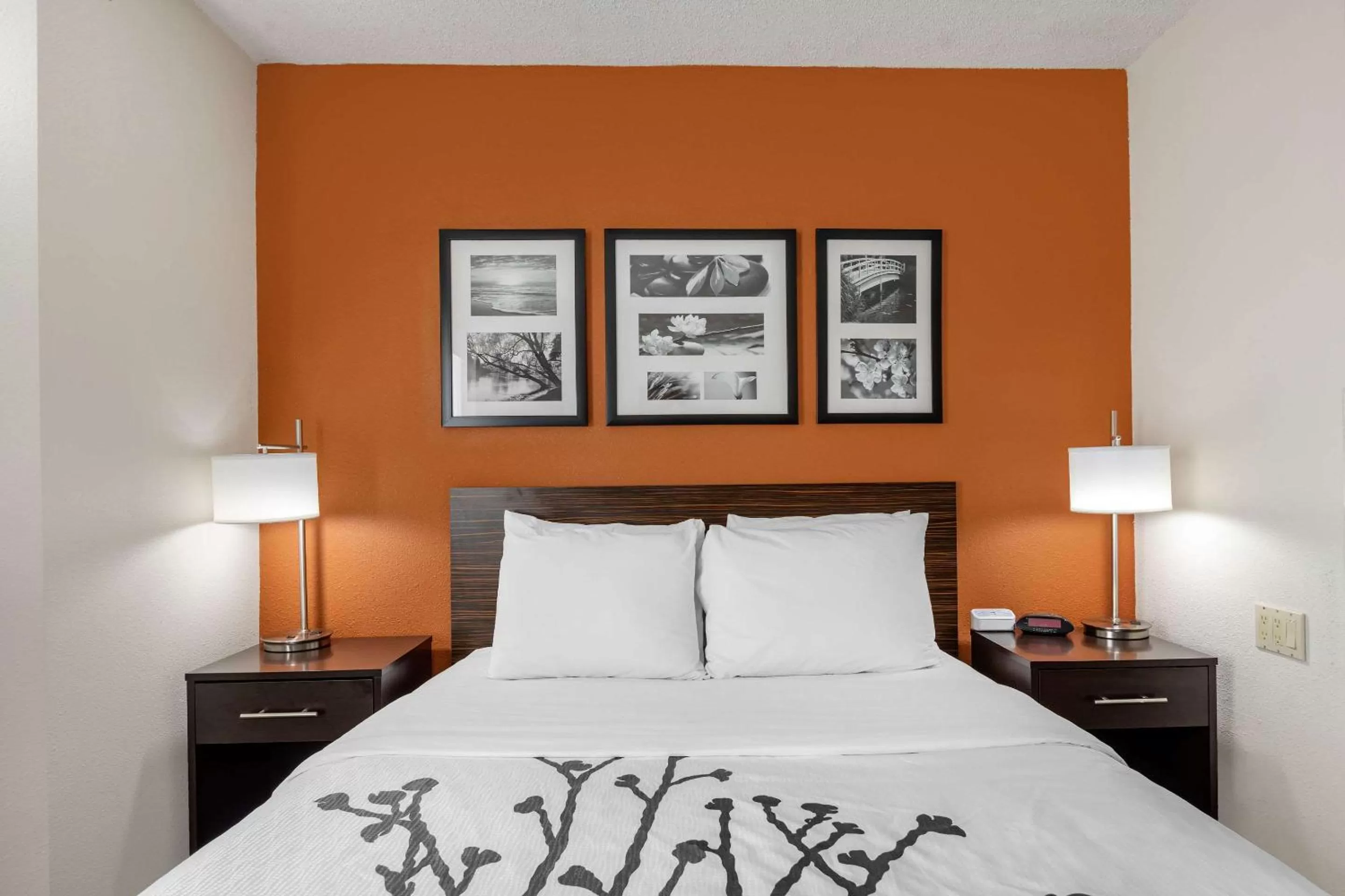 Photo of the whole room, Bed in Sleep Inn DeWitt - Lansing North