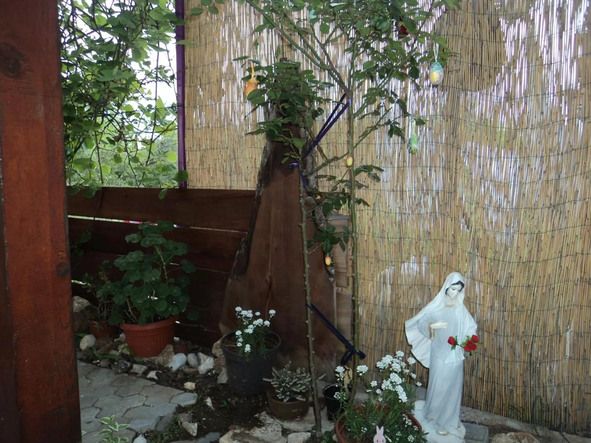 Area and facilities in Pansion Modana Medjugorje