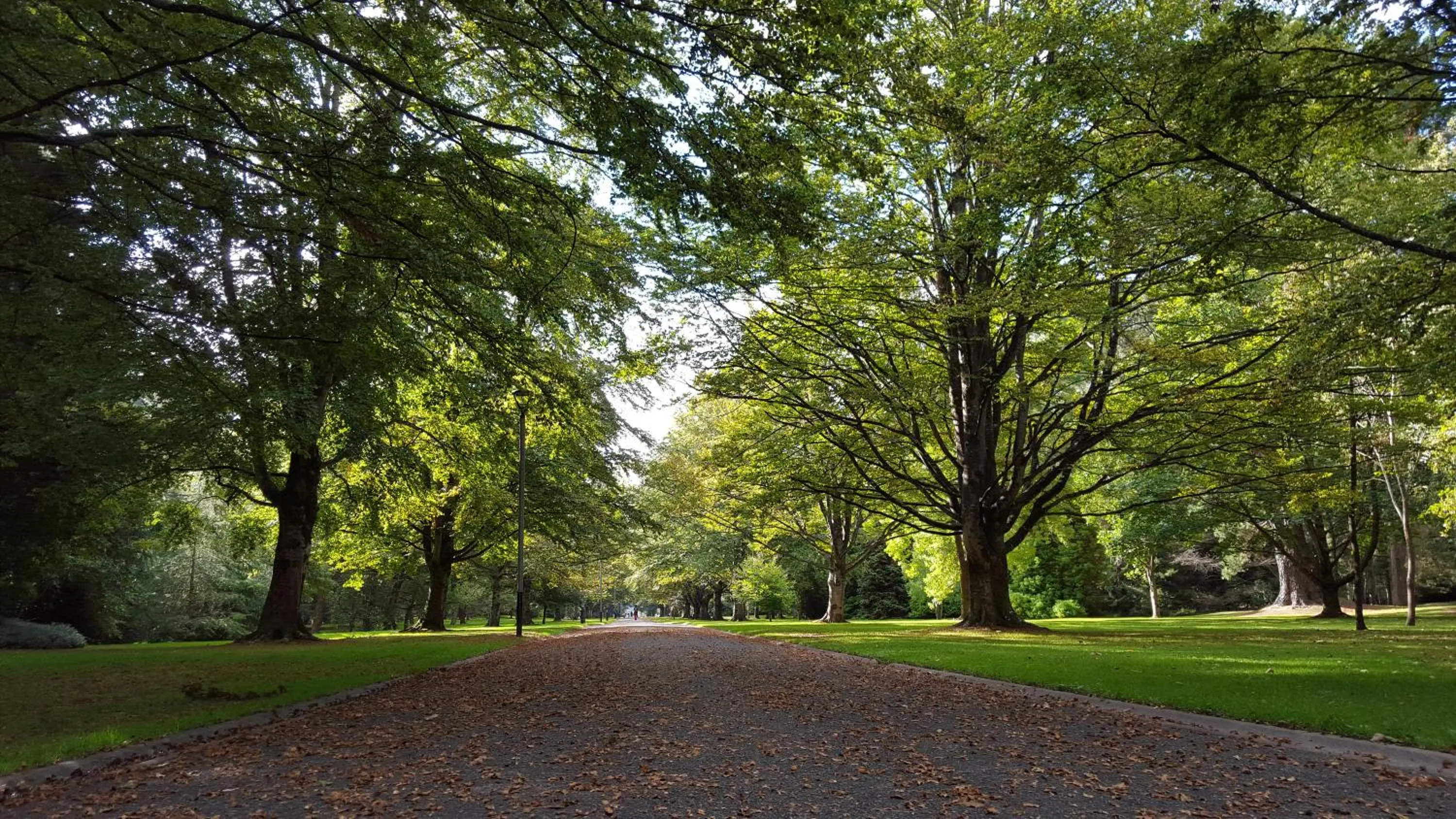 Day in Queens Park Motels