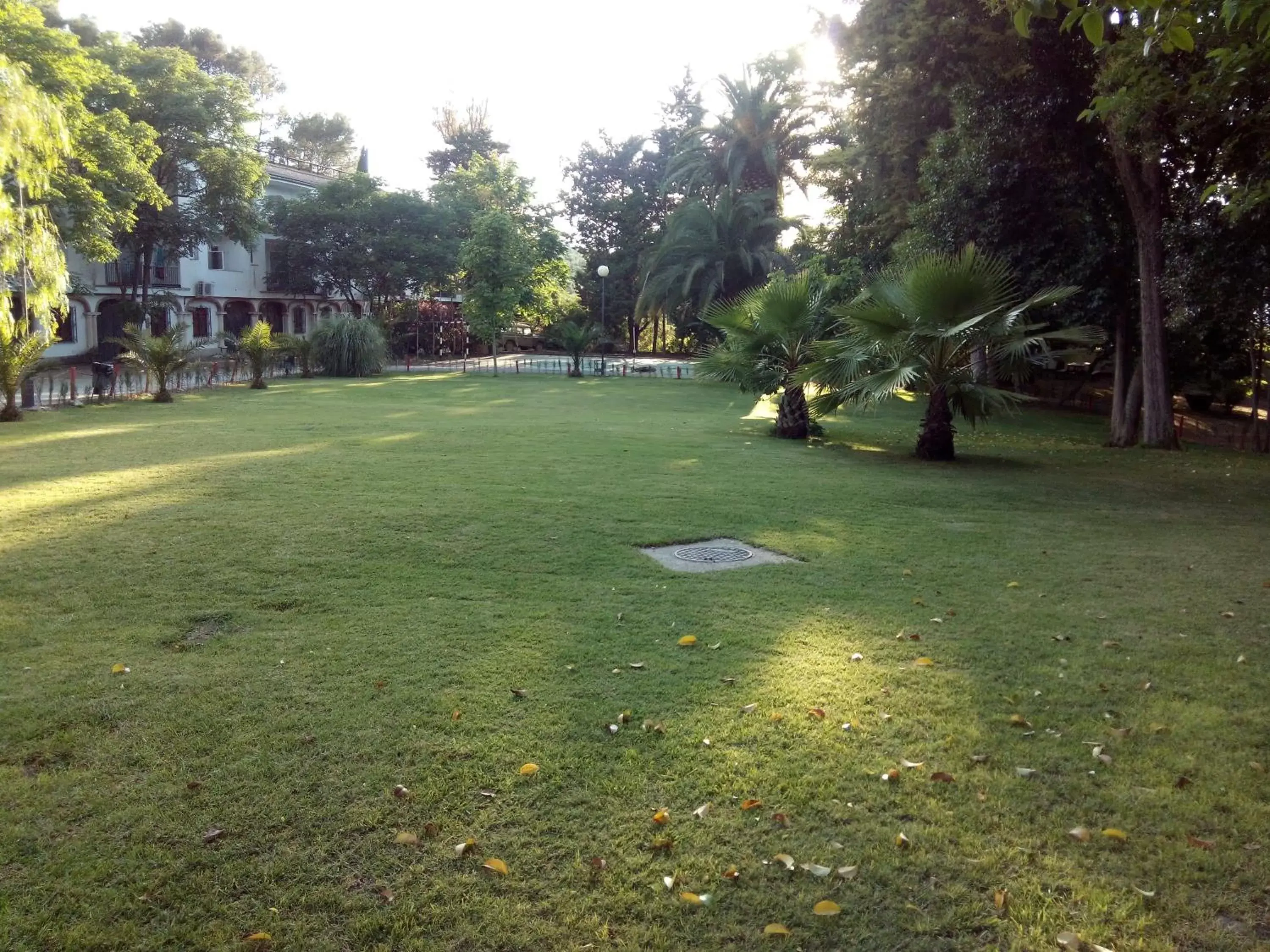 Garden in Balneario San Andres