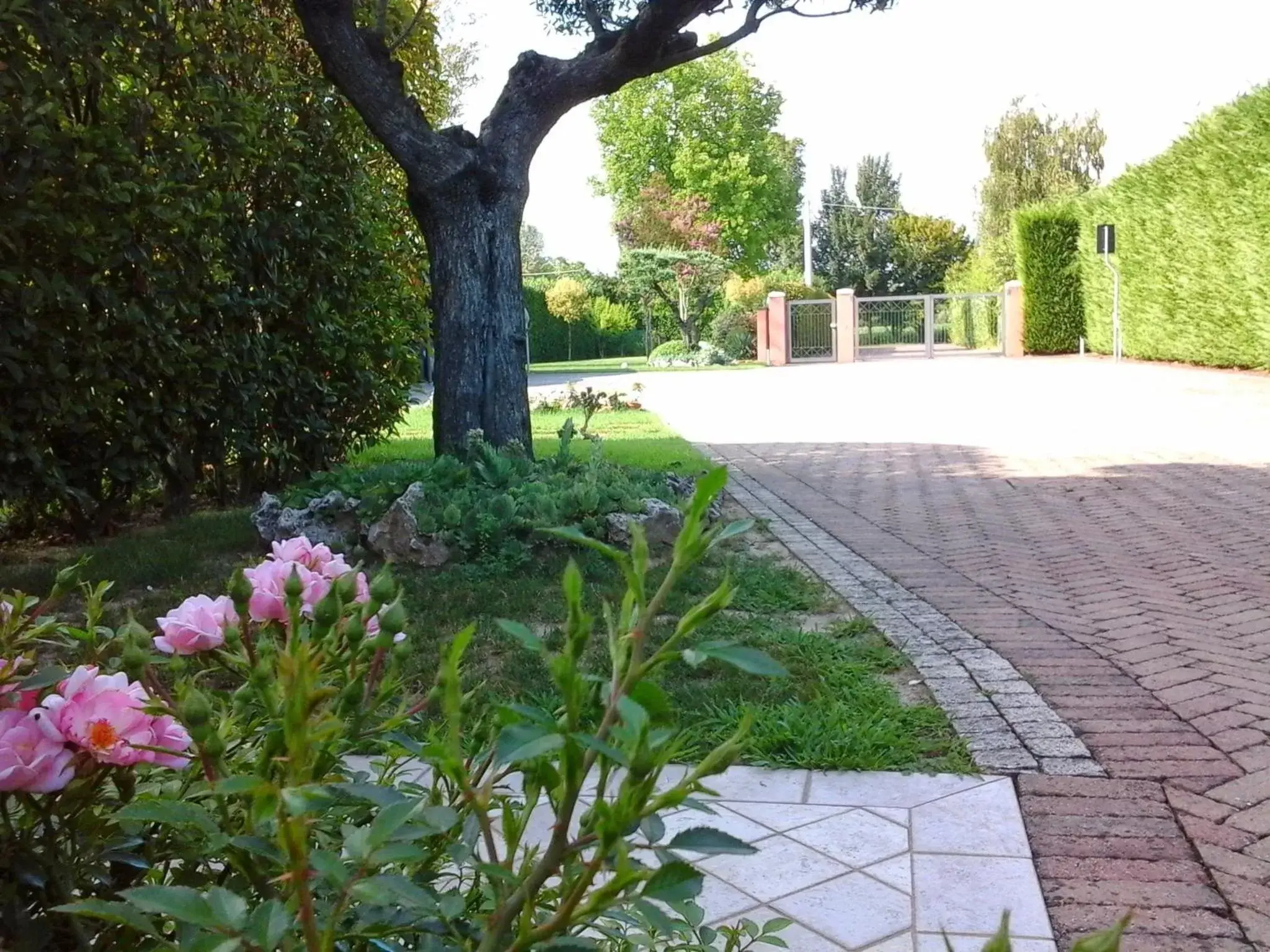 Other, Garden in La Casa di Linda