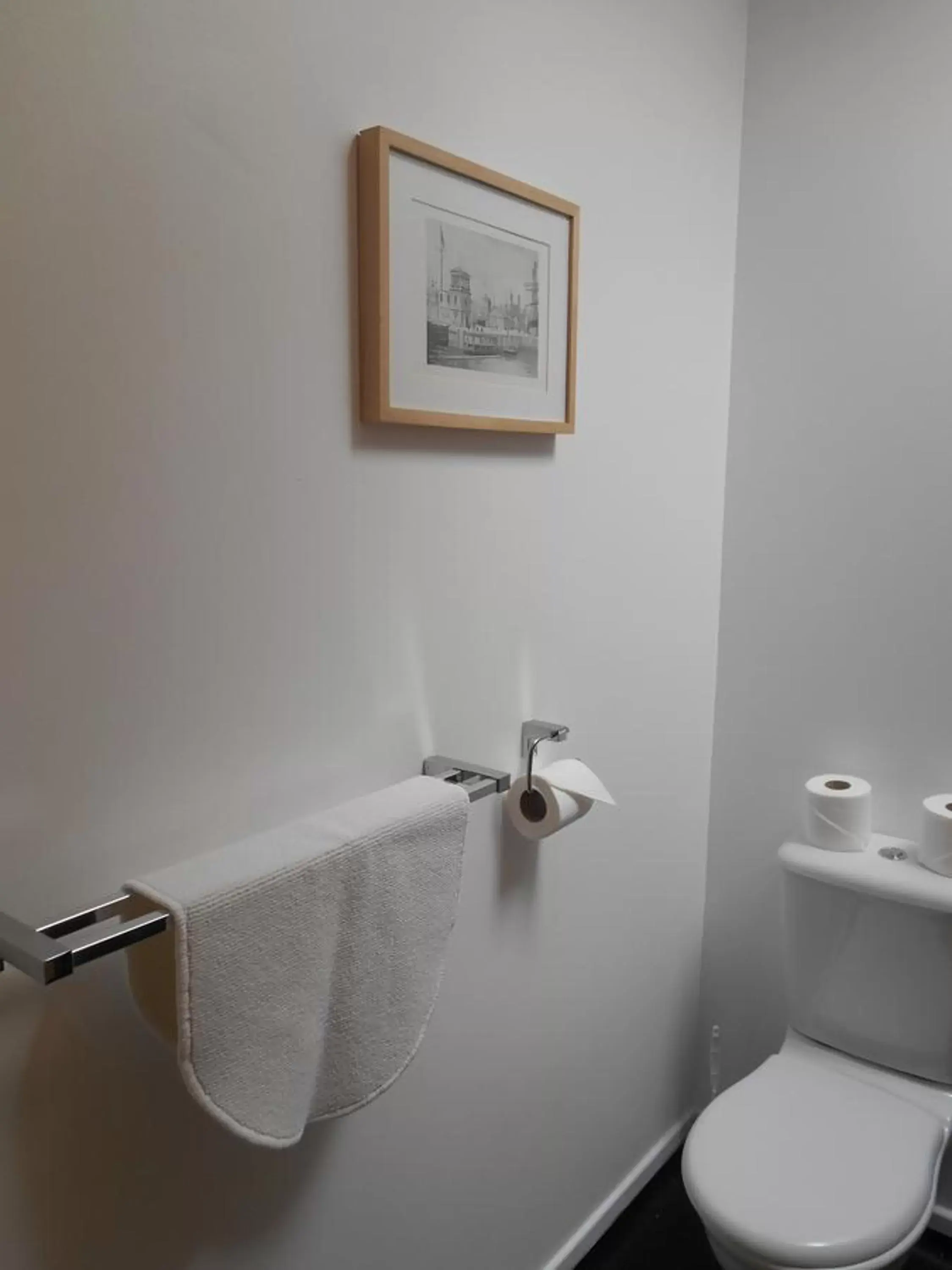 Toilet, Bathroom in Airlie Arms Hotel