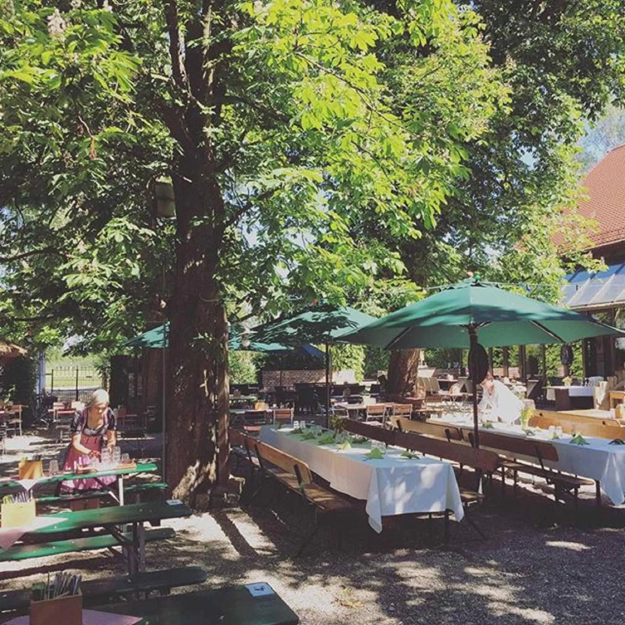 Restaurant/places to eat in Hotel Waldvogel