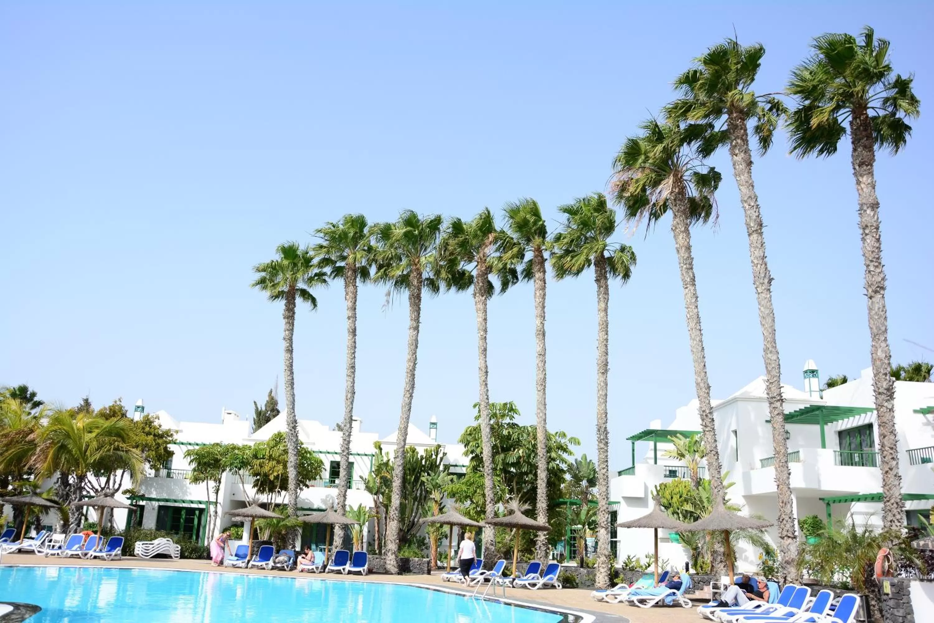 Swimming pool in THB Royal