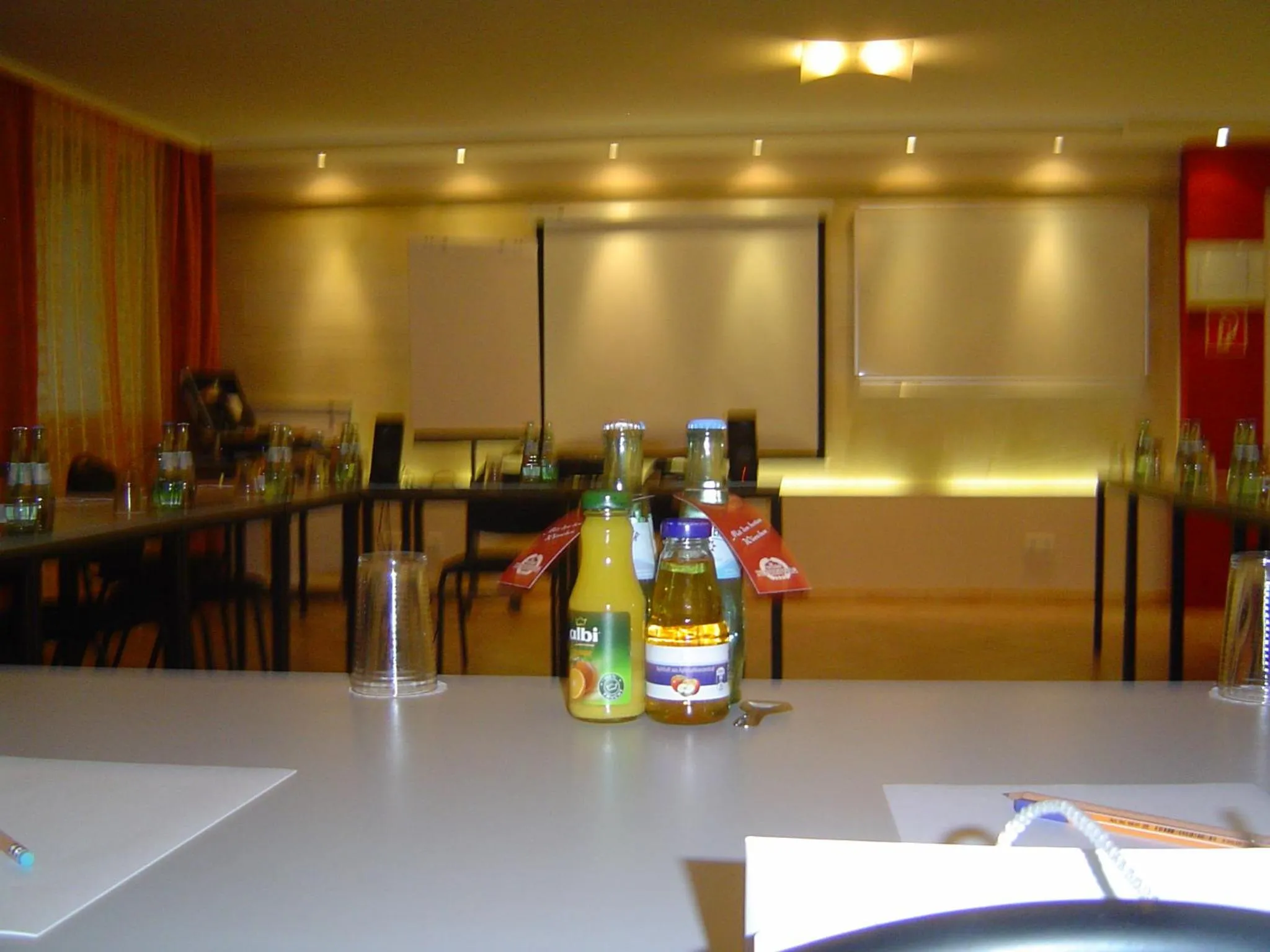 Business facilities in Hotel Petersburg Superior