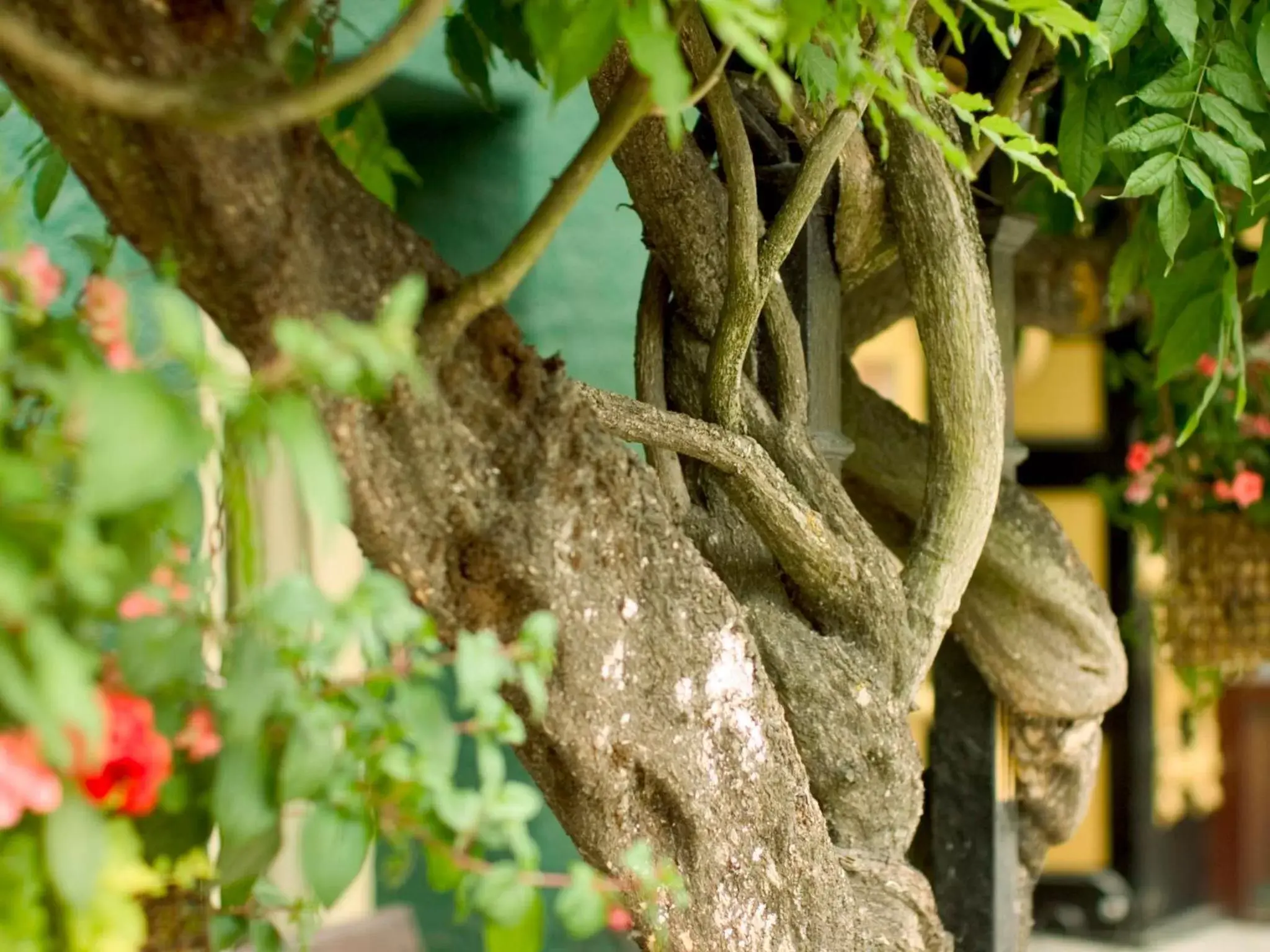 Facade/entrance in Metropole Hotel and Spa Facade/entrance in Metropole Hotel and Spa