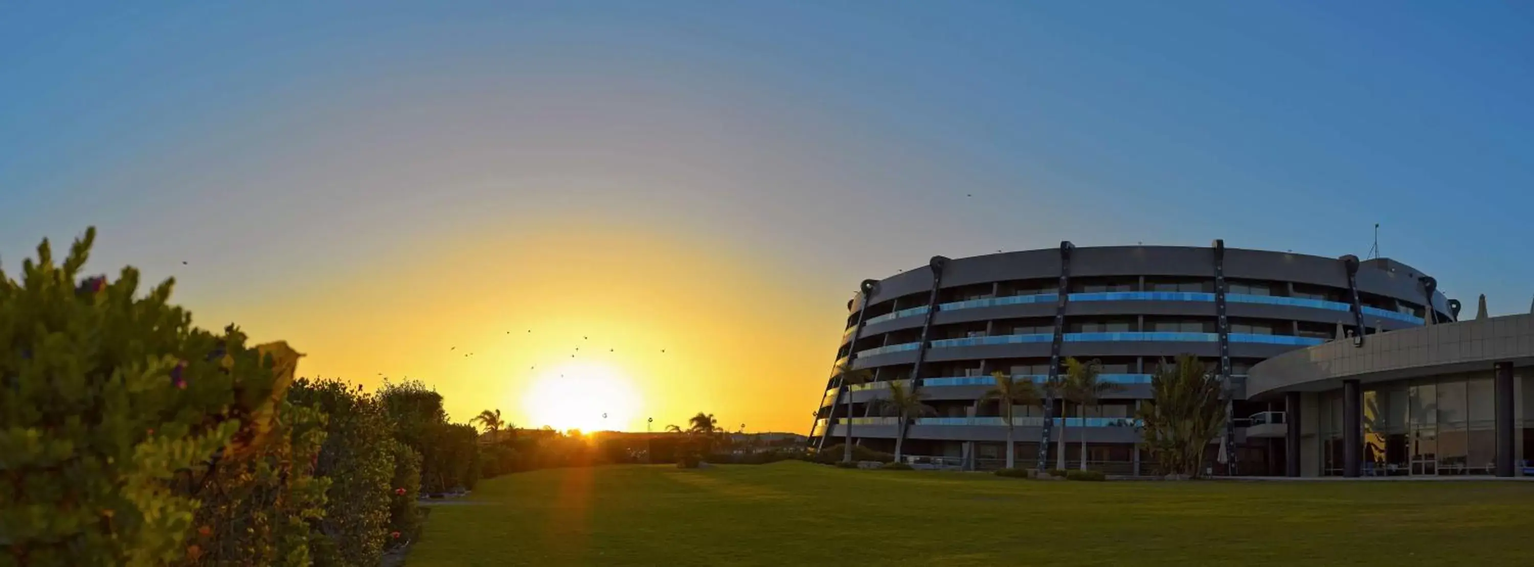 Property Building in Radisson Blu Hotel Alexandria