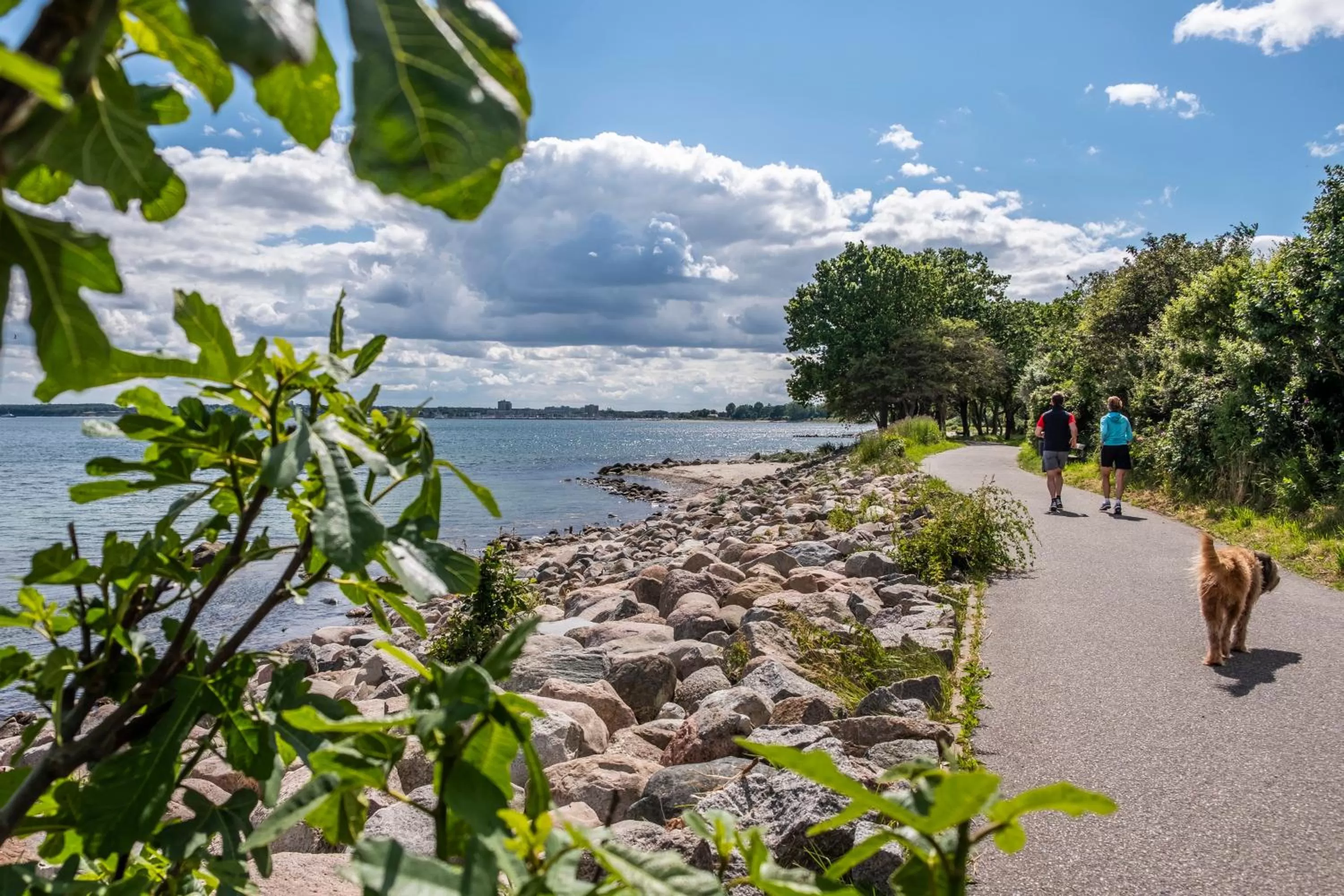 Natural landscape in Büngers Apartment-Hotel mit Gartensauna - modern, gemütlich und strandnah