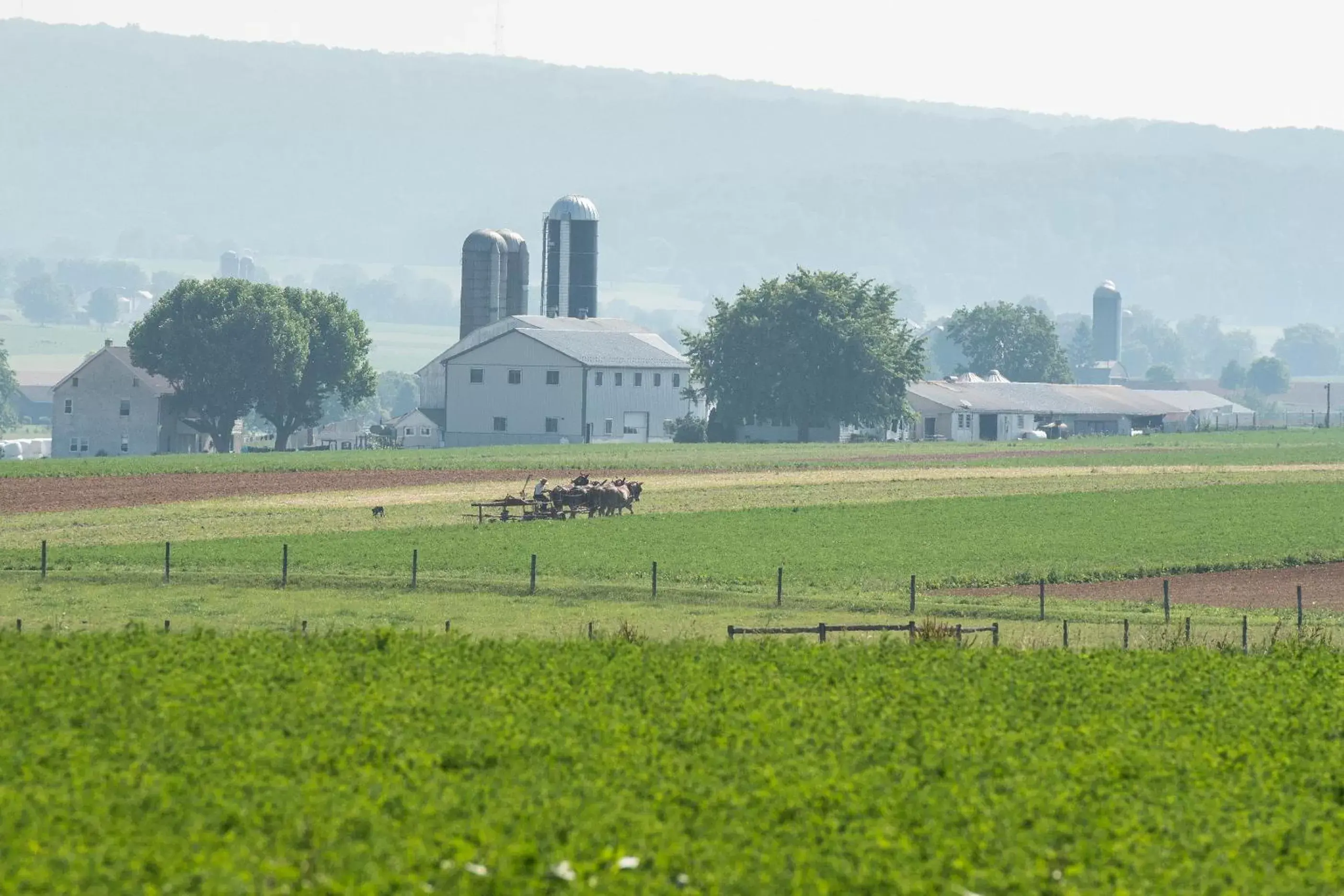 View (from property/room) in Travelers Rest Motel View (from property/room) in Travelers Rest Motel