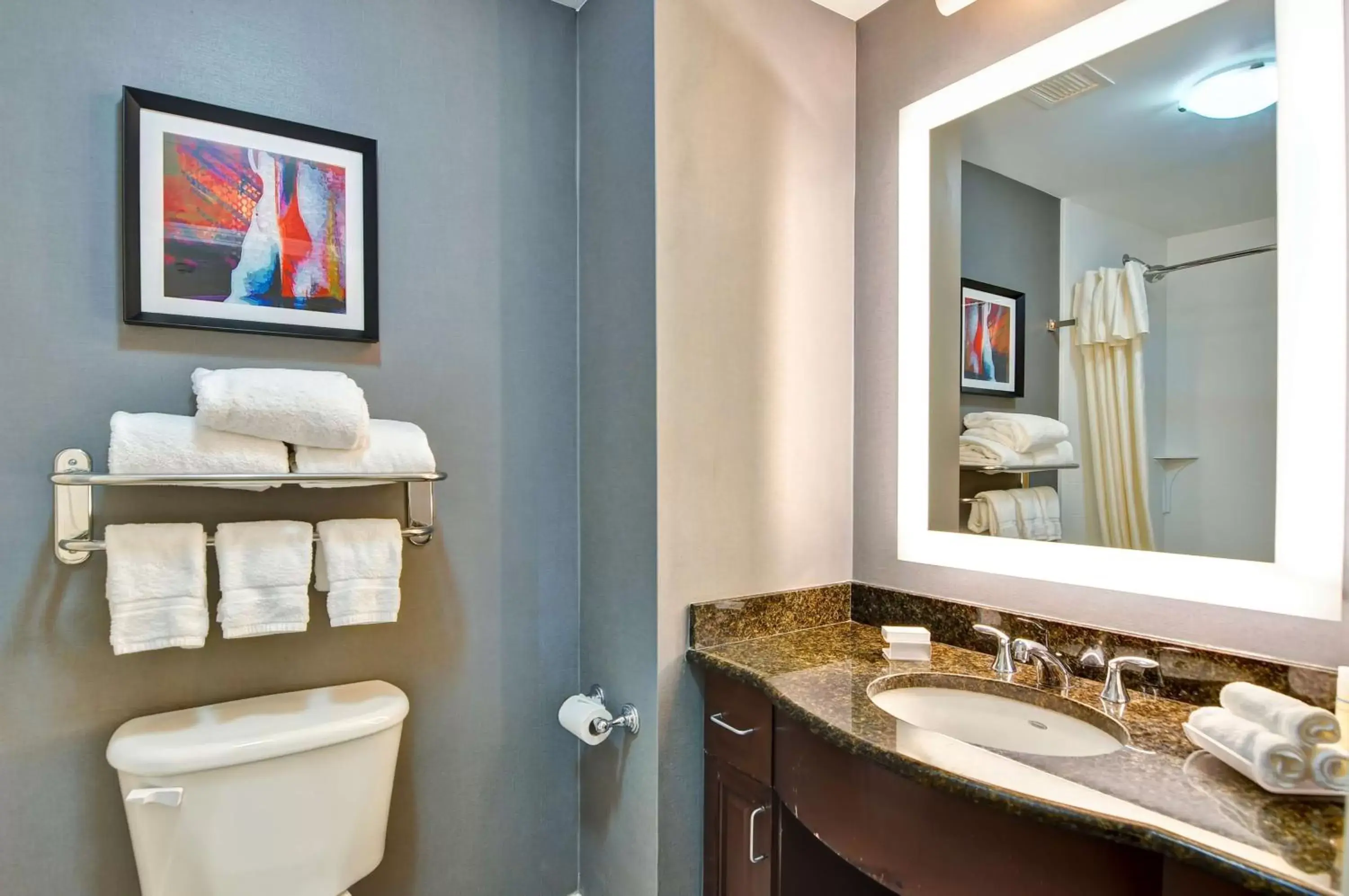 Bathroom in Homewood Suites by Hilton Boston Cambridge-Arlington, MA