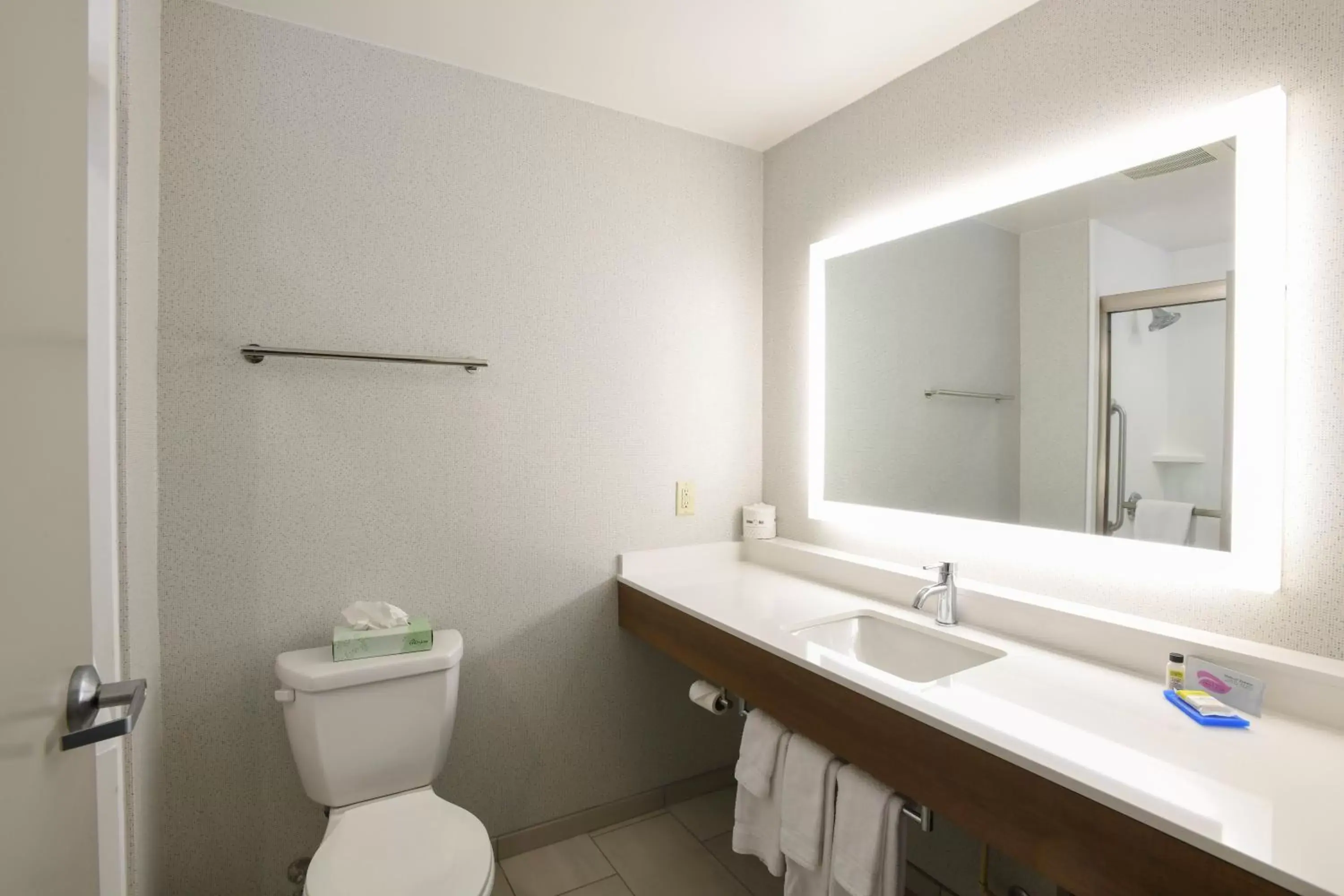Photo of the whole room, Bathroom in Holiday Inn Express Hotel & Suites Richwood - Cincinnati South, an IHG Hotel