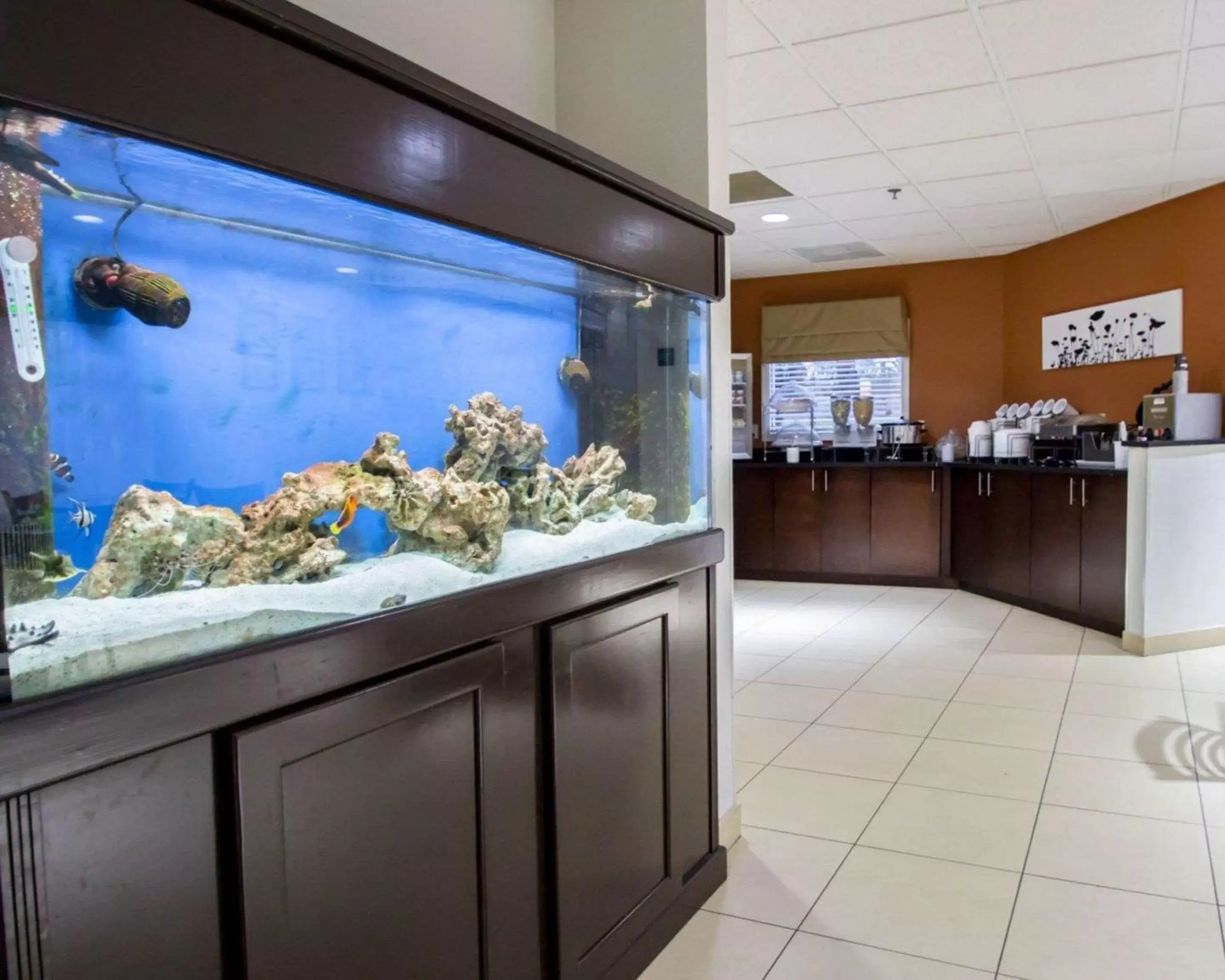 Restaurant/places to eat in Sleep Inn Ormond Beach - Daytona Restaurant/places to eat in Sleep Inn Ormond Beach - Daytona