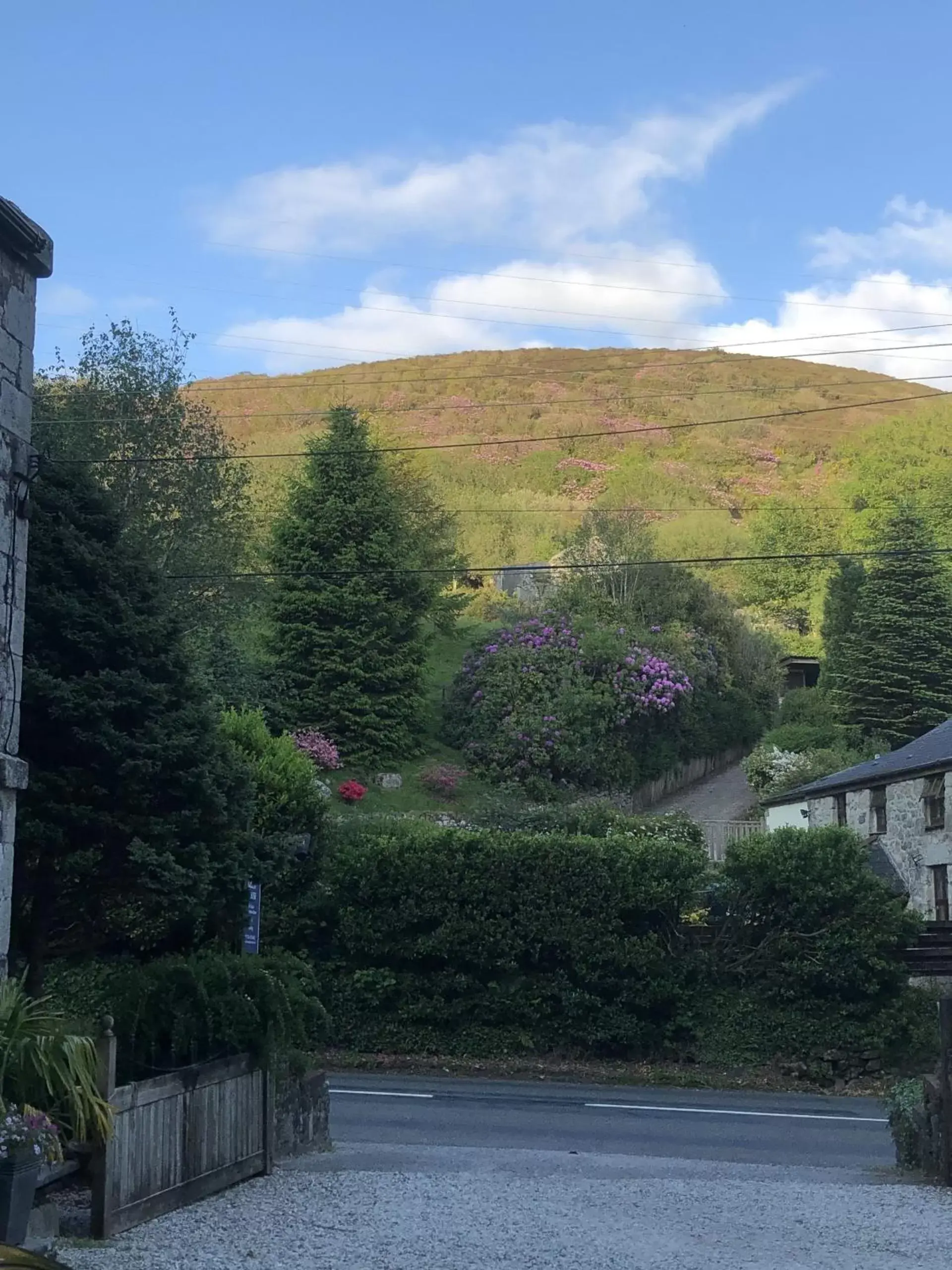 View (from property/room) in The Chapel Guest House