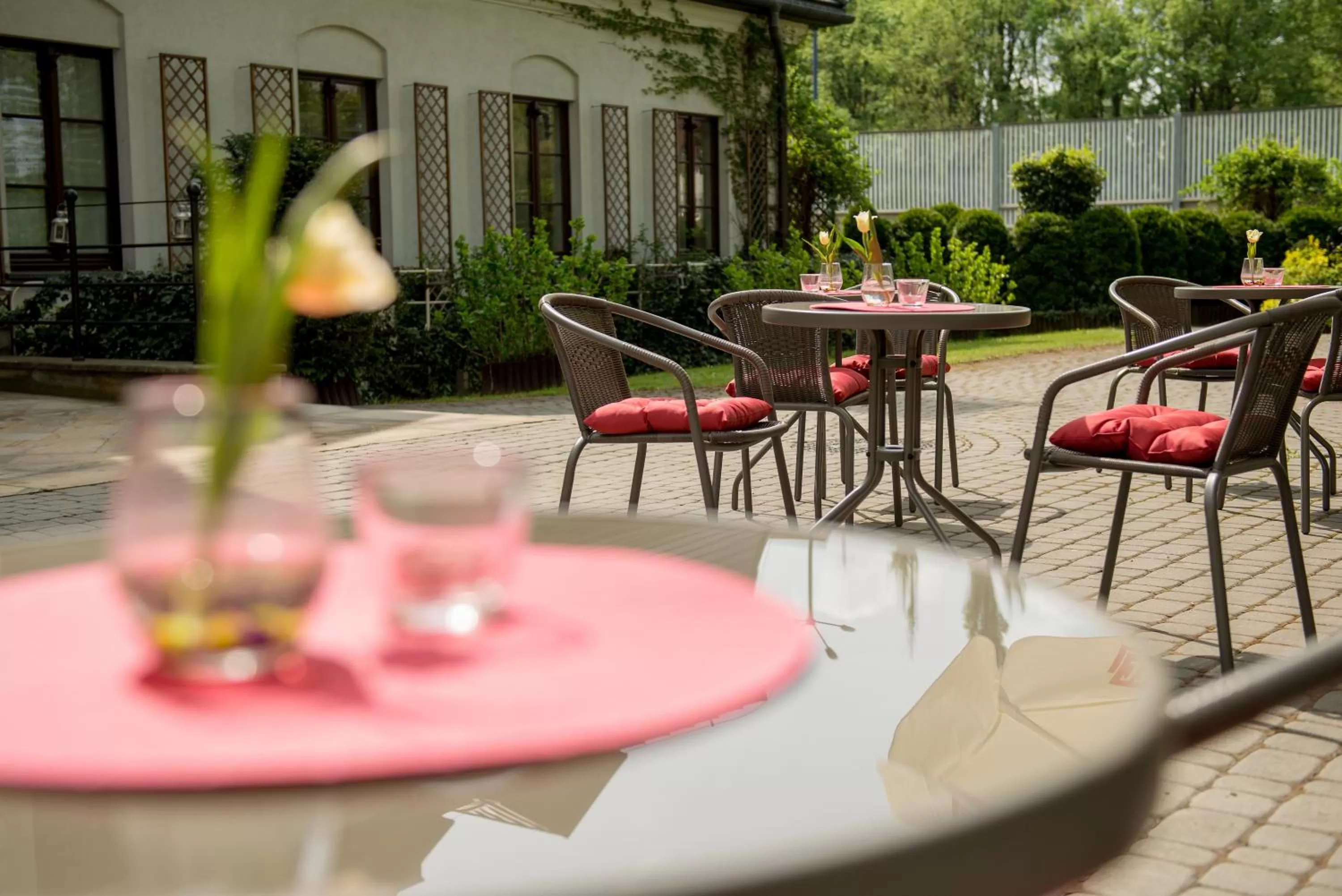 Restaurant/places to eat in Hotel Dwór Kościuszko