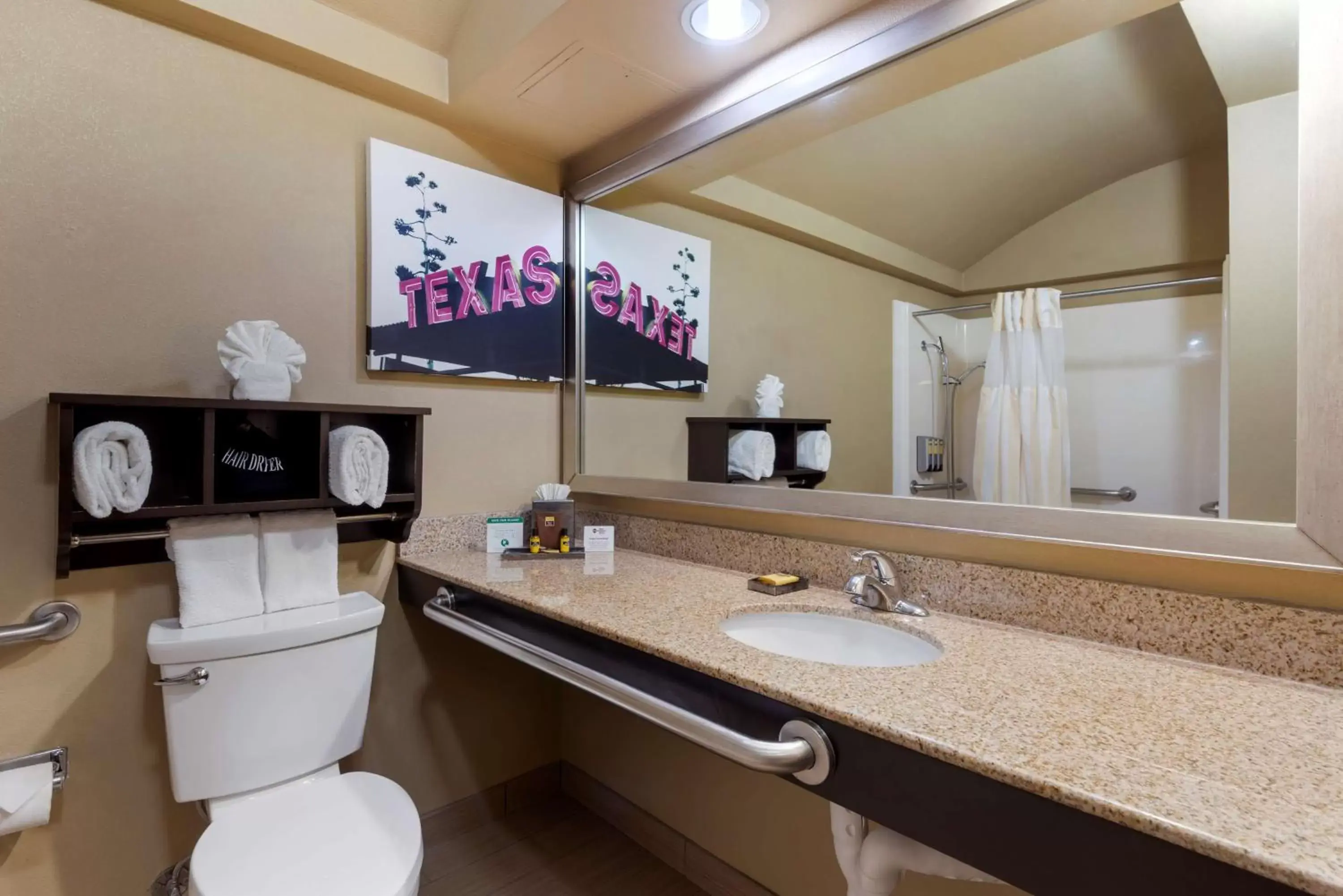 Bathroom in Best Western Plus Arlington North