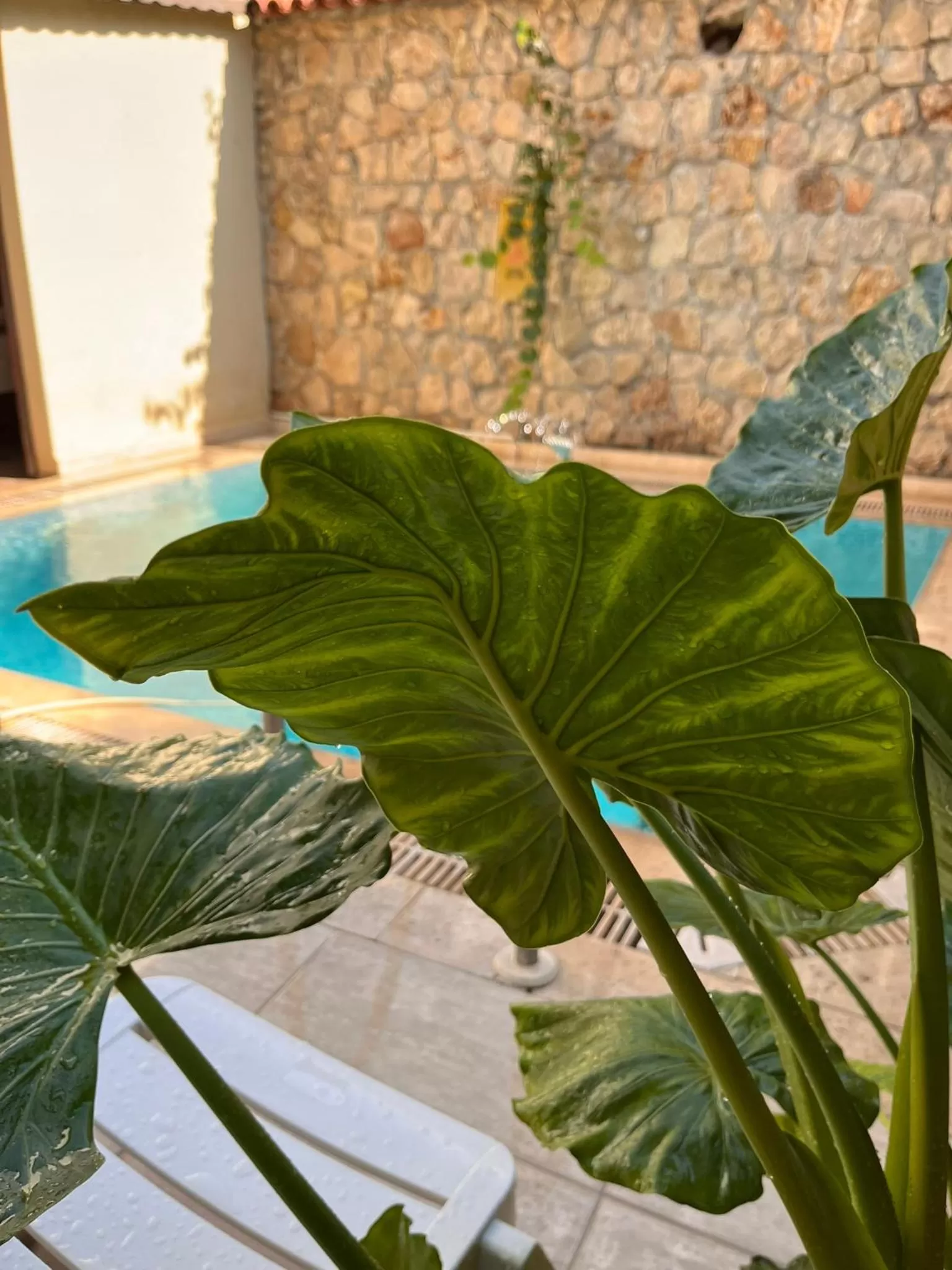Patio in Kaleici Hotel