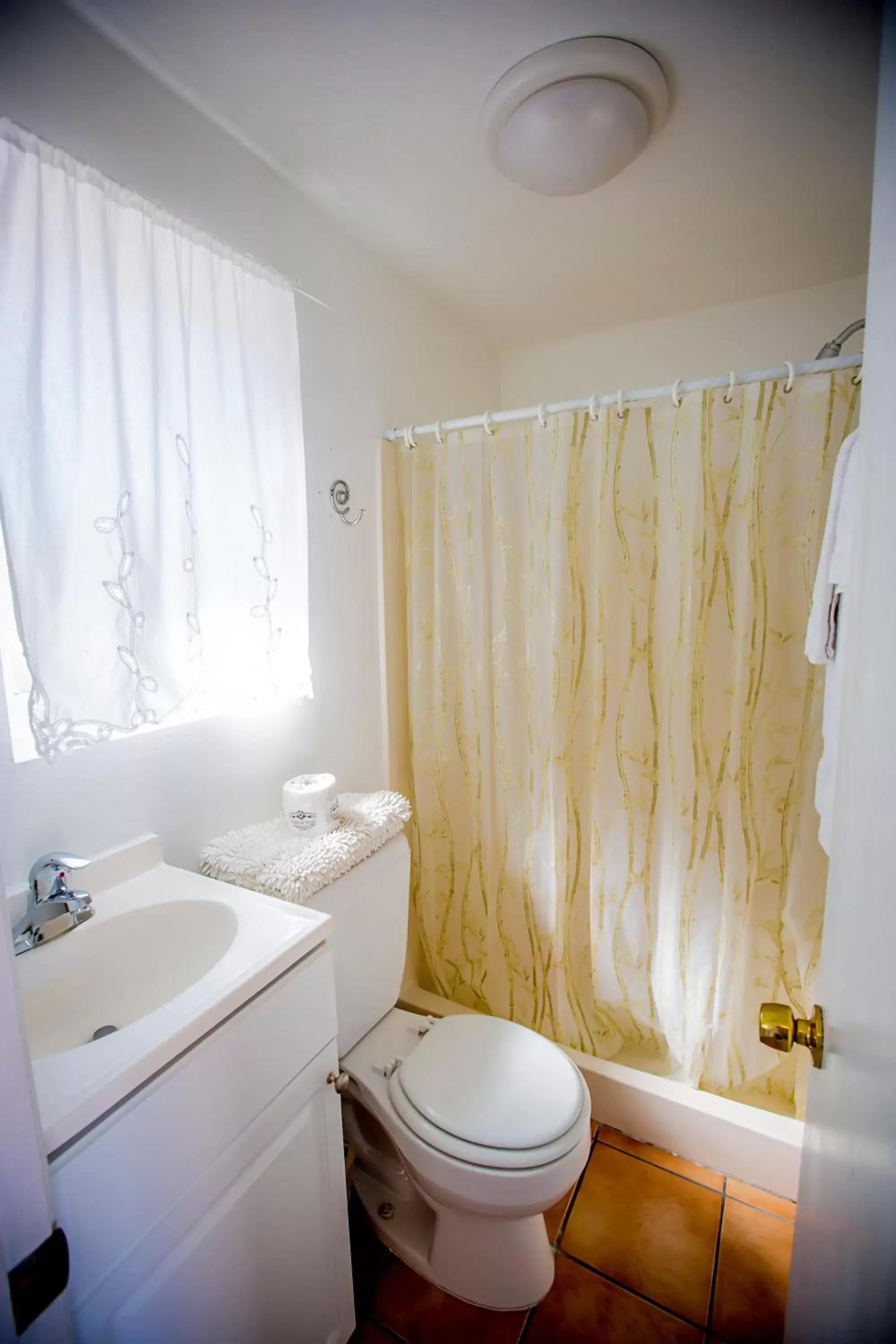 Shower, Bathroom in Leucadia Beach Inn