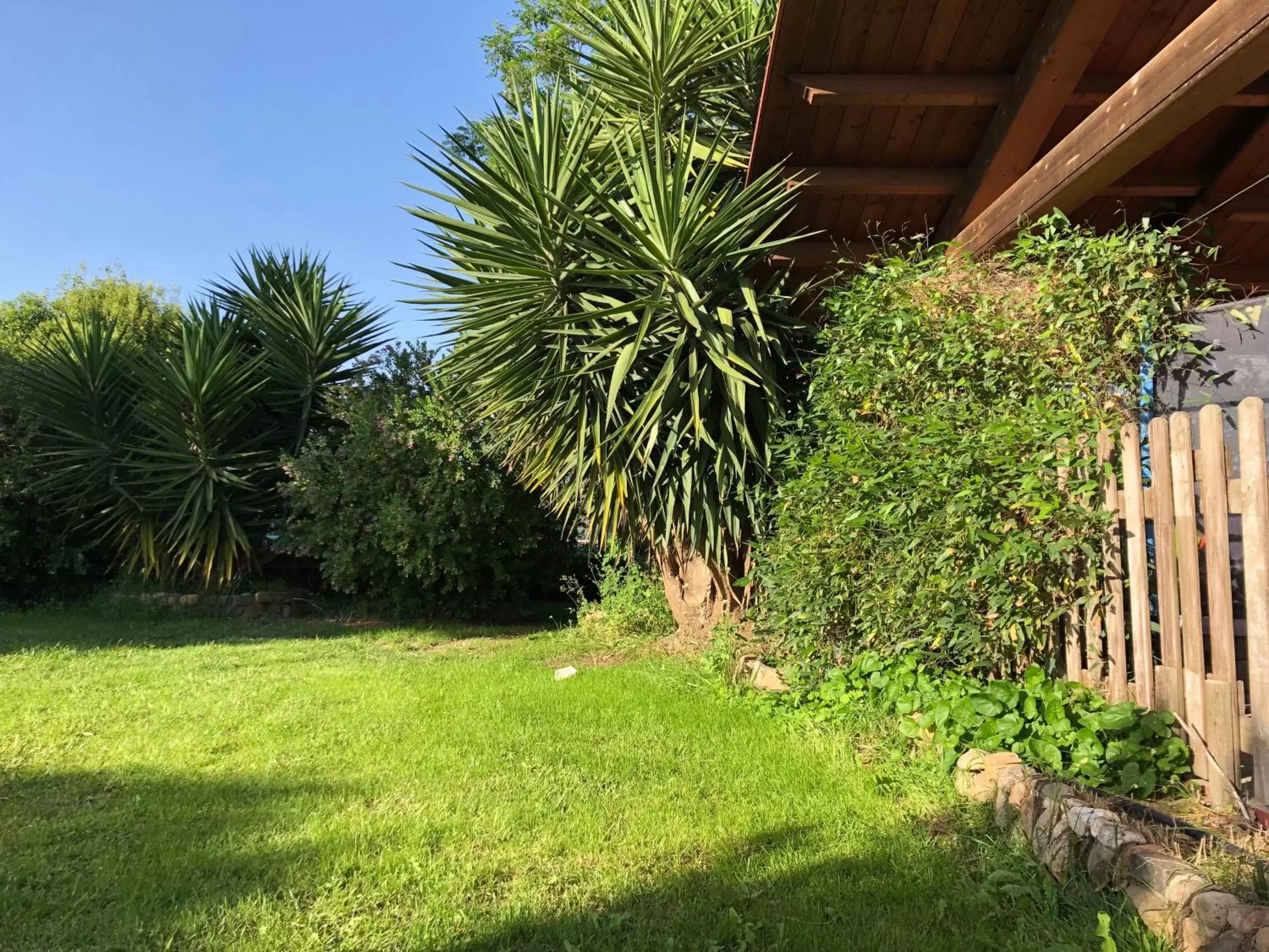 Garden in b&b le terre cotte