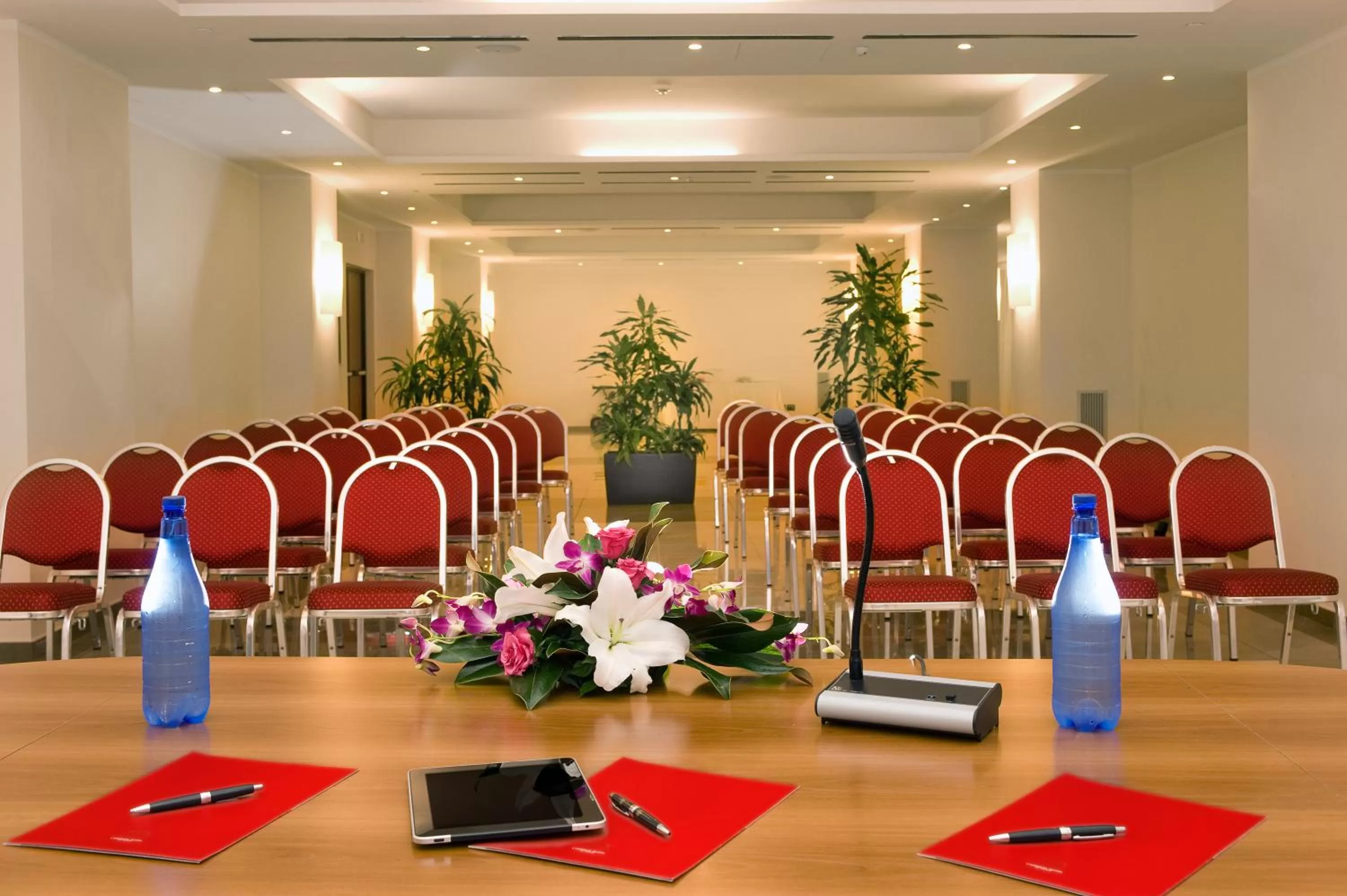 Business facilities in Cardinal Hotel St. Peter