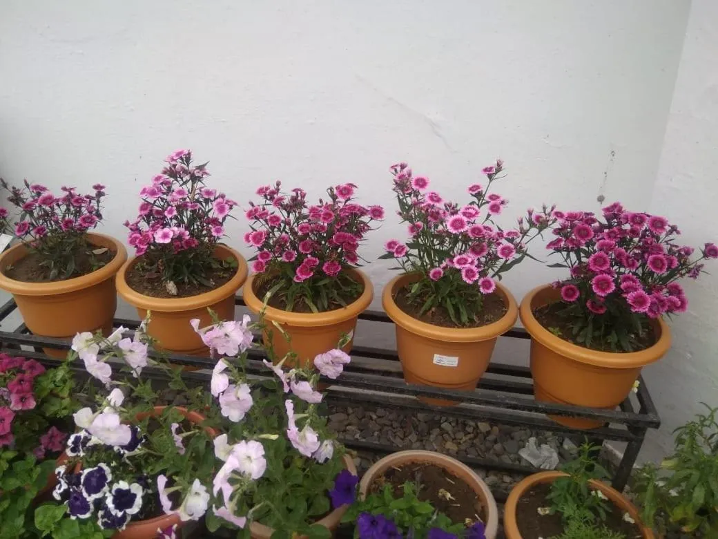 Property building in Hotel SunGrace