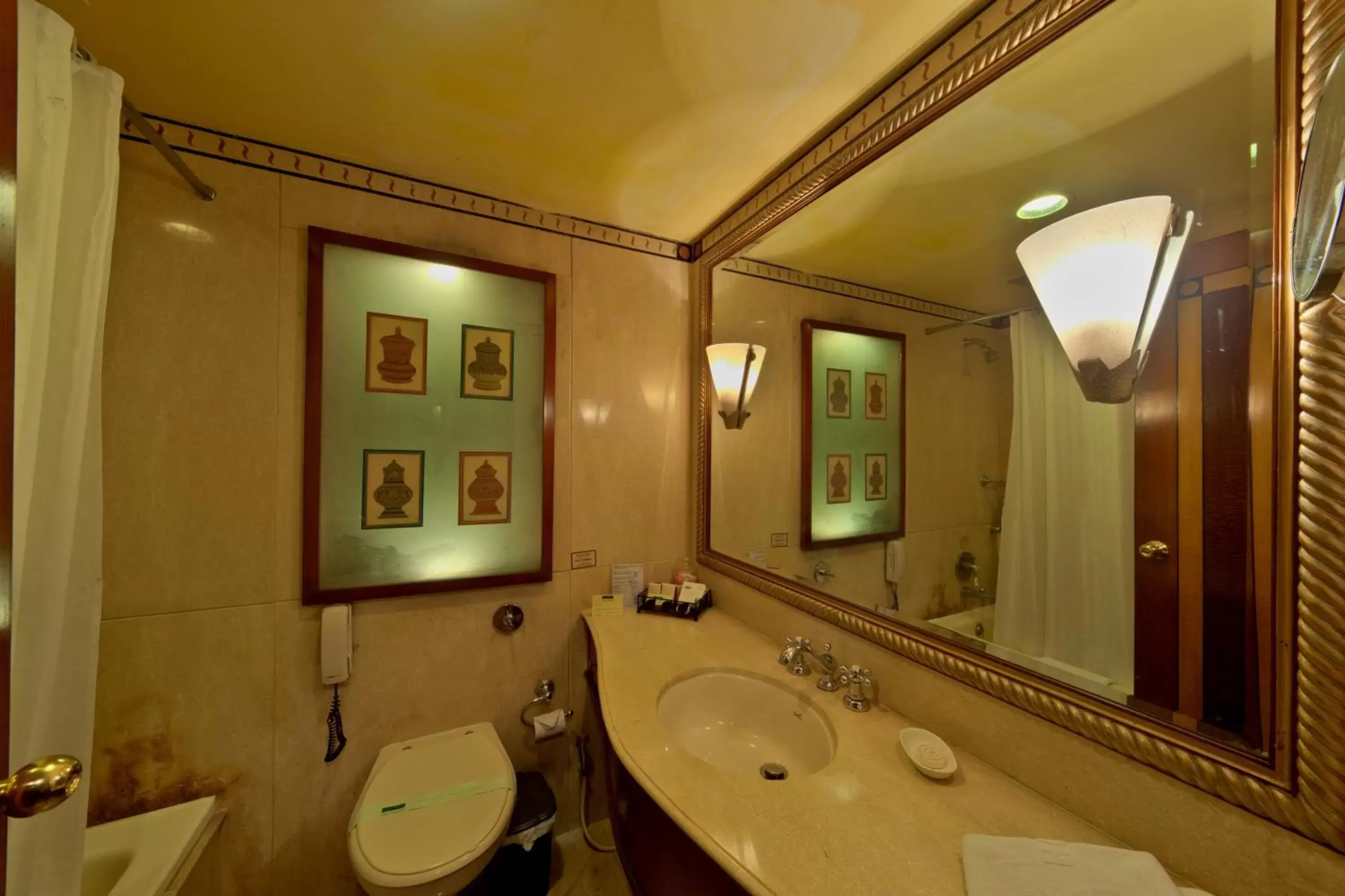 Bathroom in Hotel Hindustan International