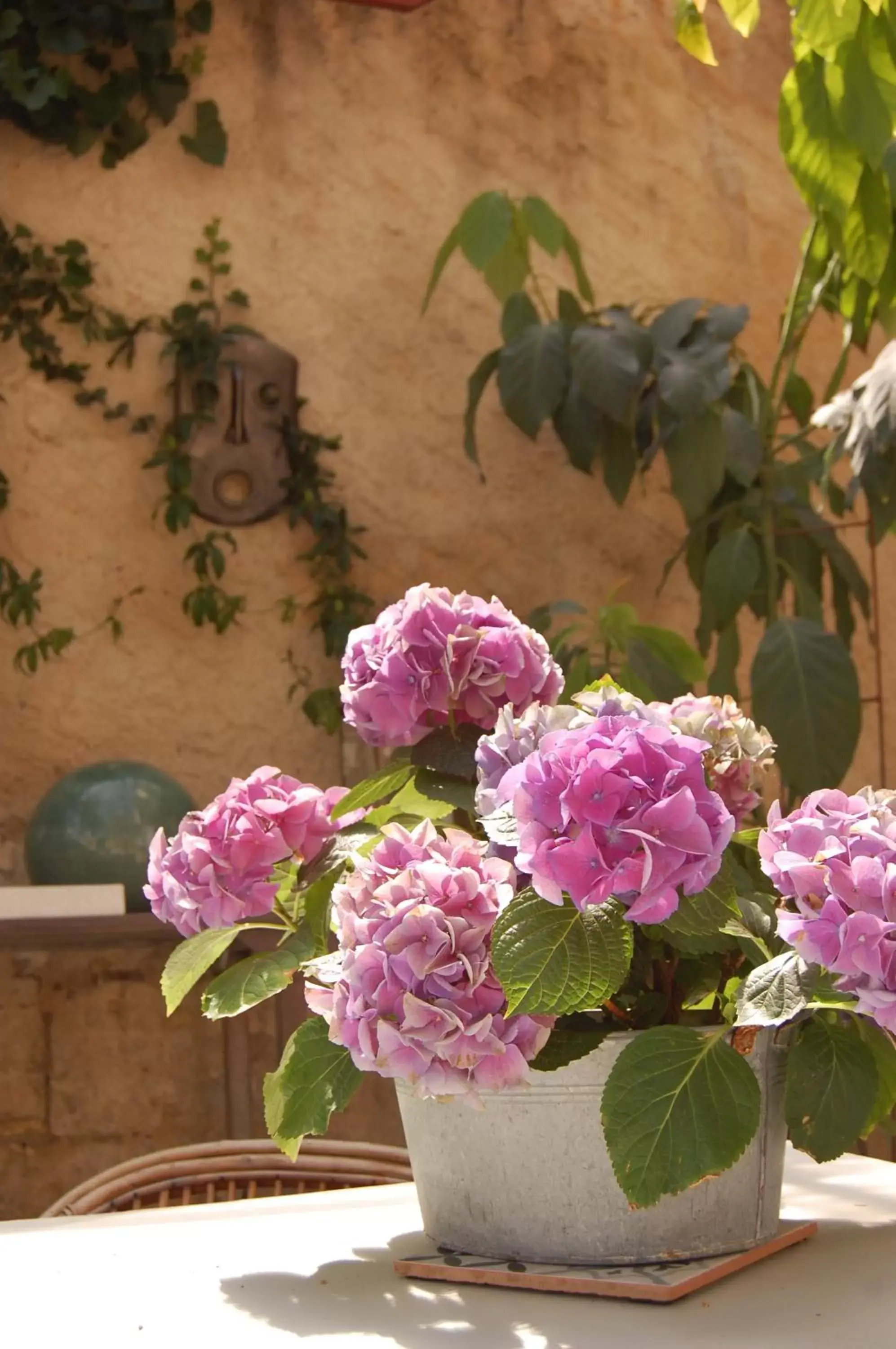 Patio in Madeleine Bergerac