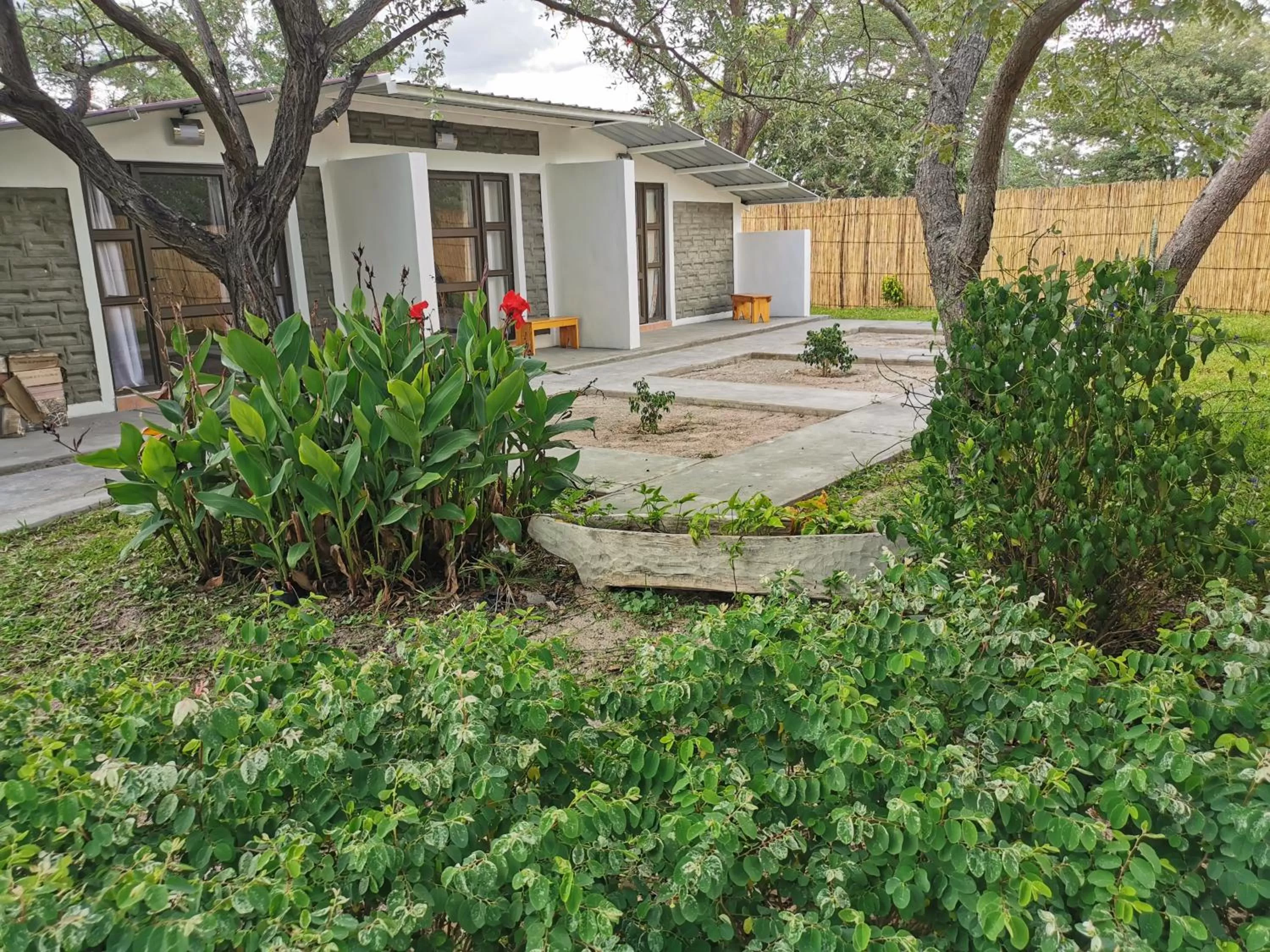 Property Building in Happy Forest B&B