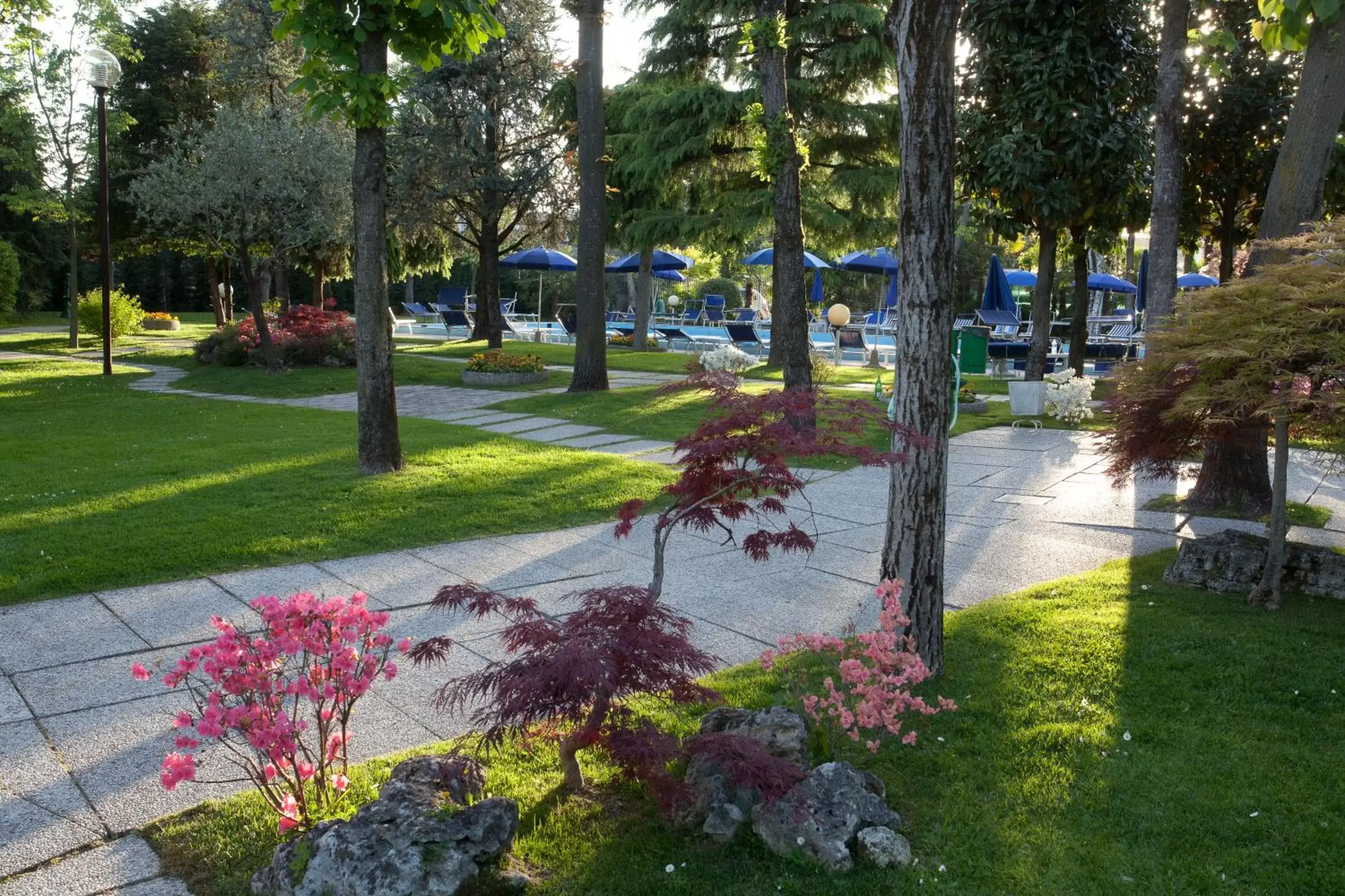 Garden in Hotel Metropole