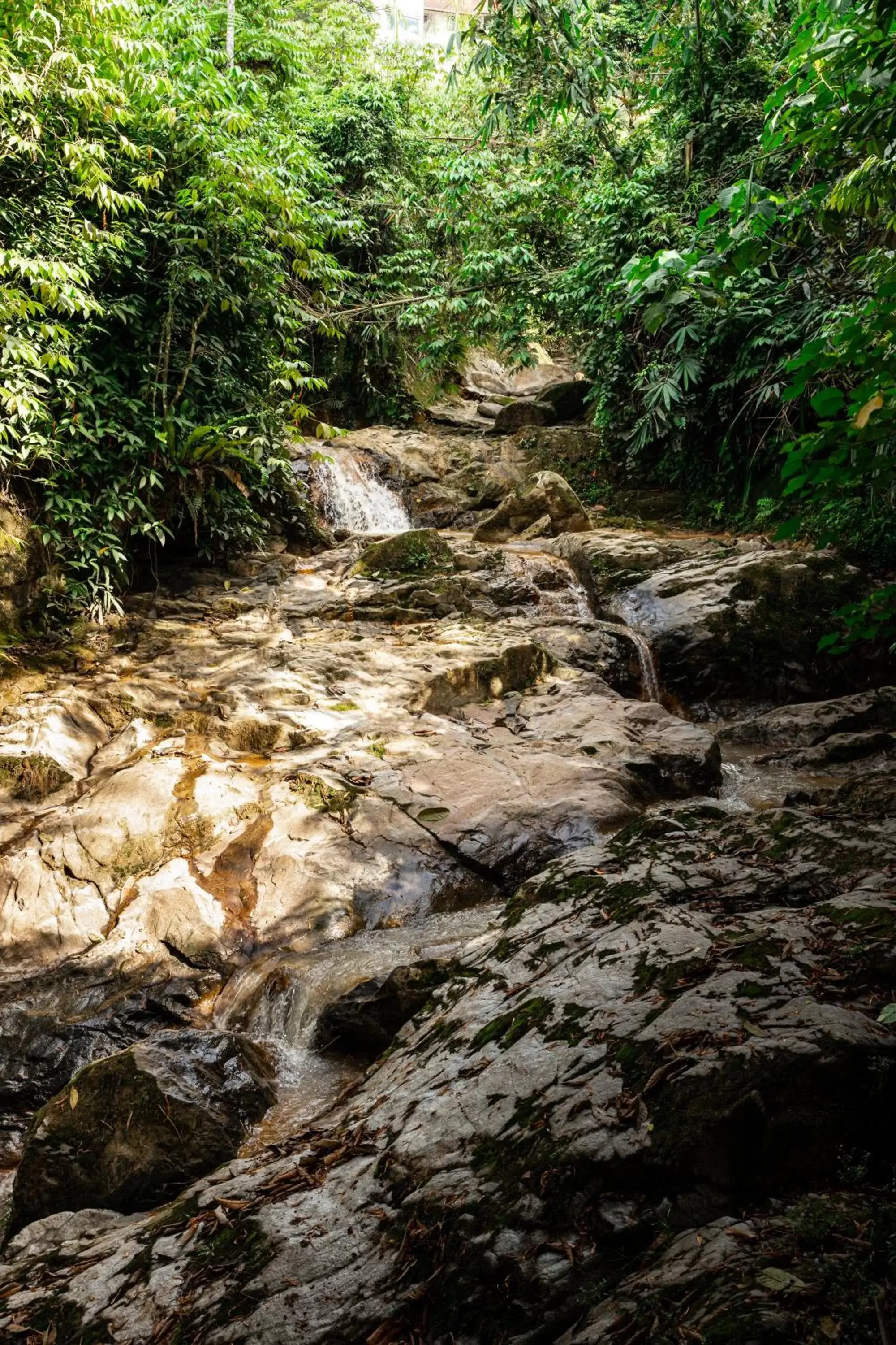 Natural landscape in Genting View Resort