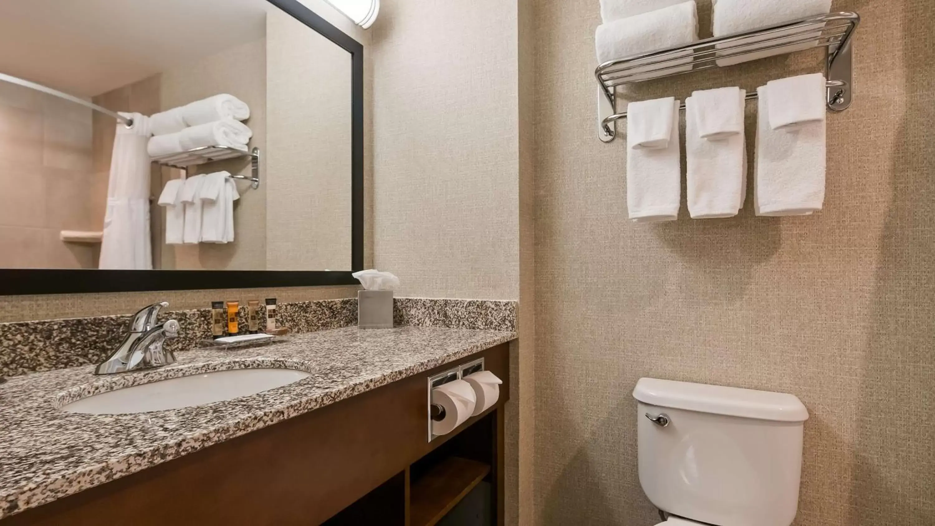 Bathroom in Best Western Plus Service Inn & Suites