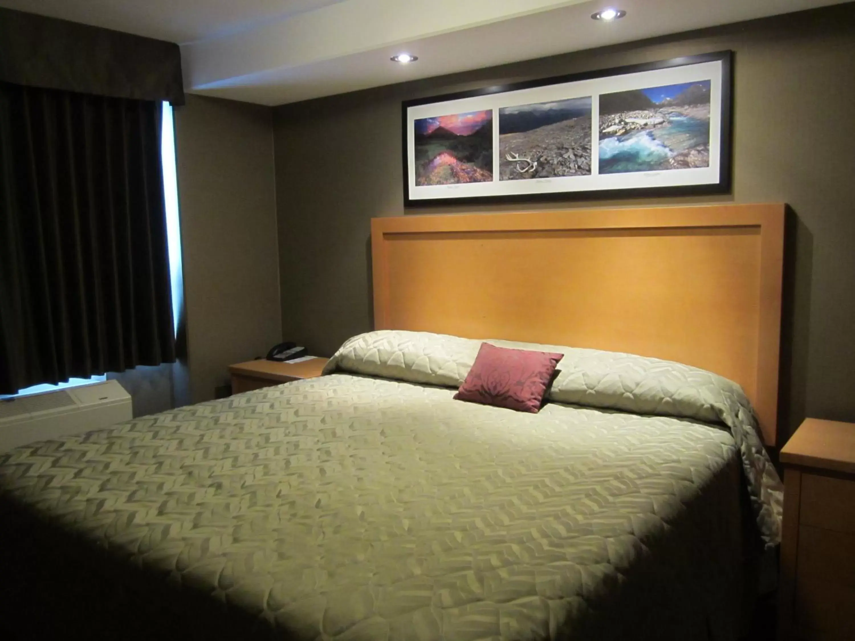 Bed in Woodlands Inn & Suites