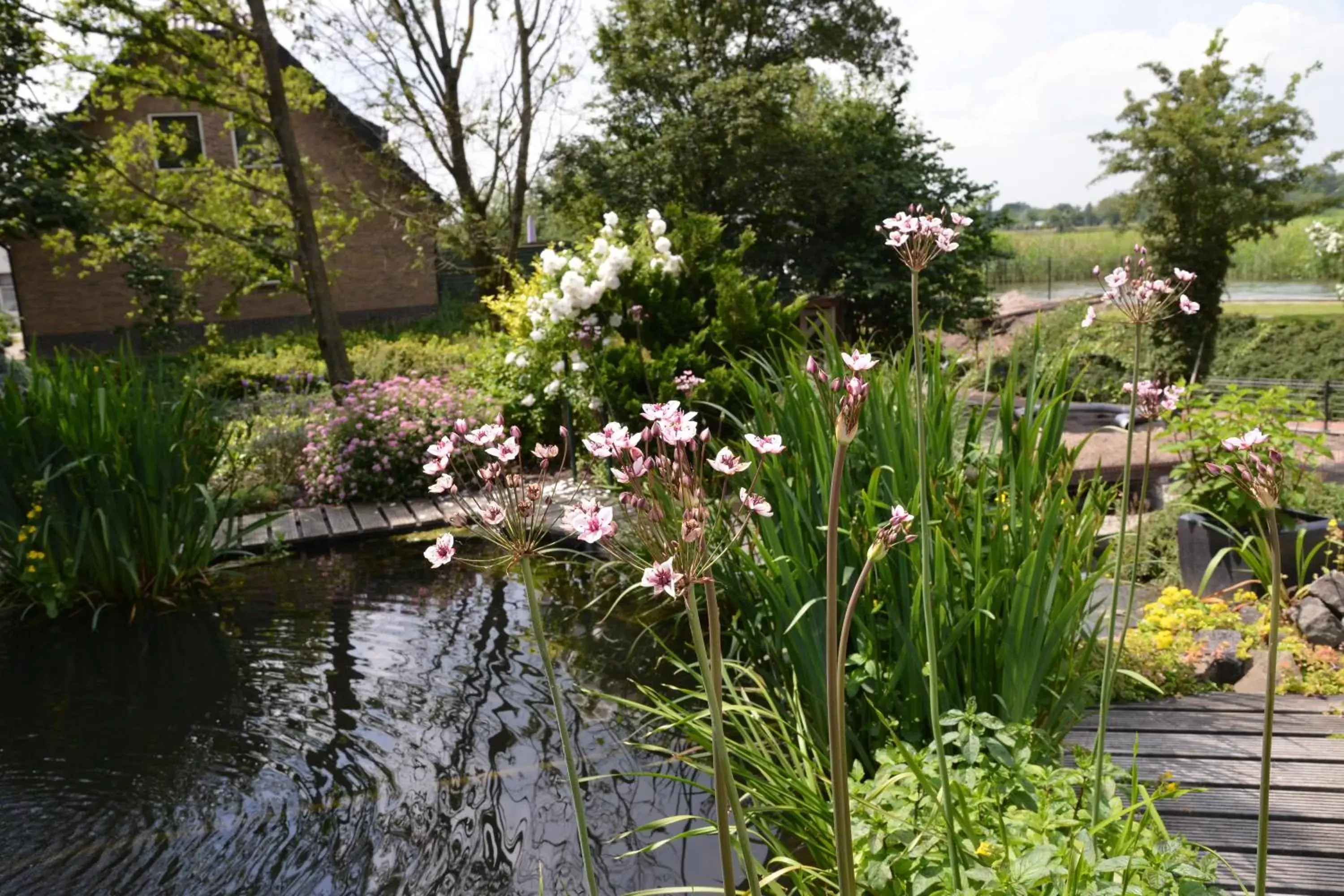 Garden in Guest House Aan de Hollandse IJssel