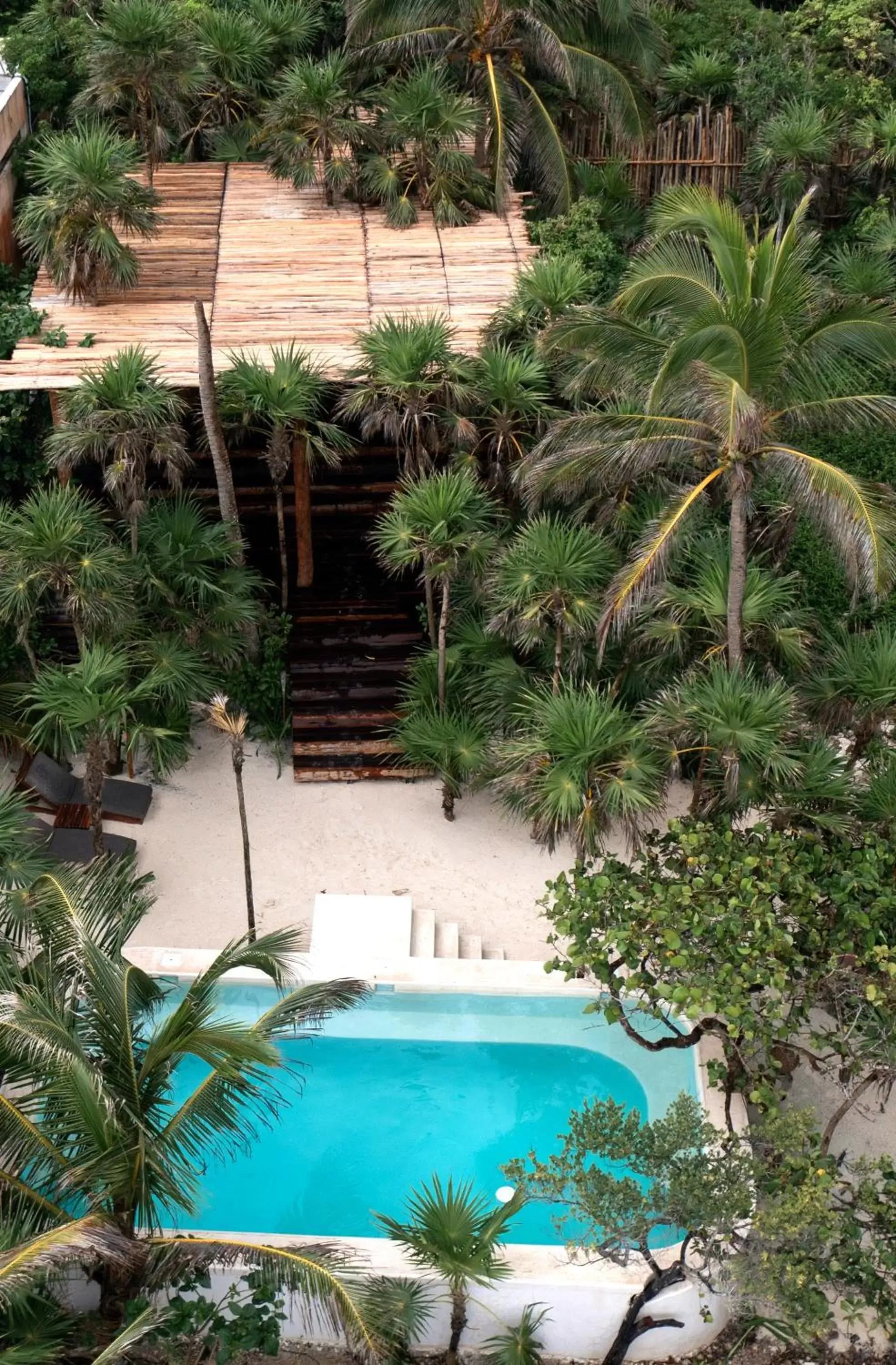 Swimming pool, Pool View in Diamante K - Inside Tulum National Park