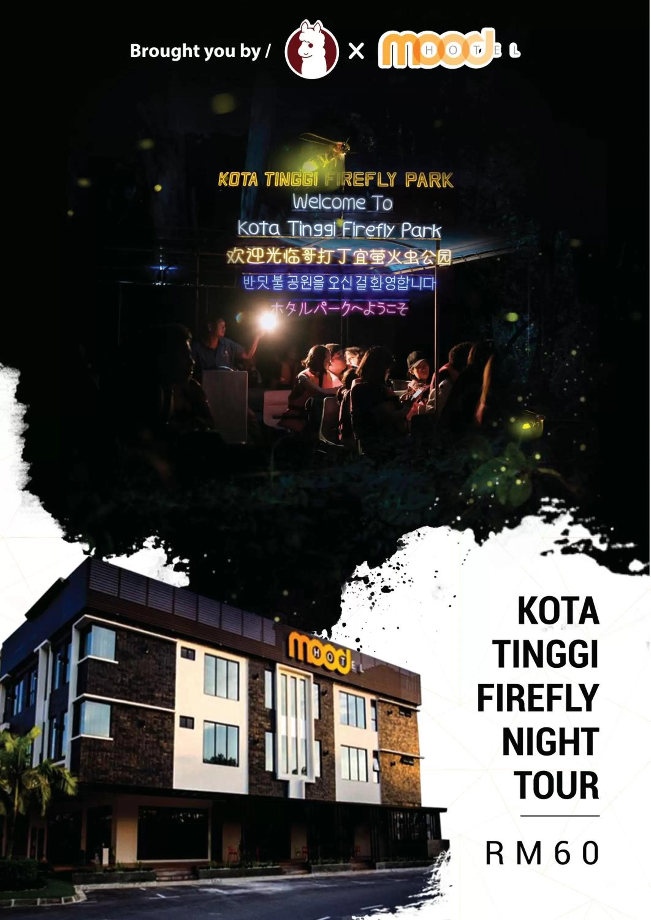 Activities in Mood Hotel