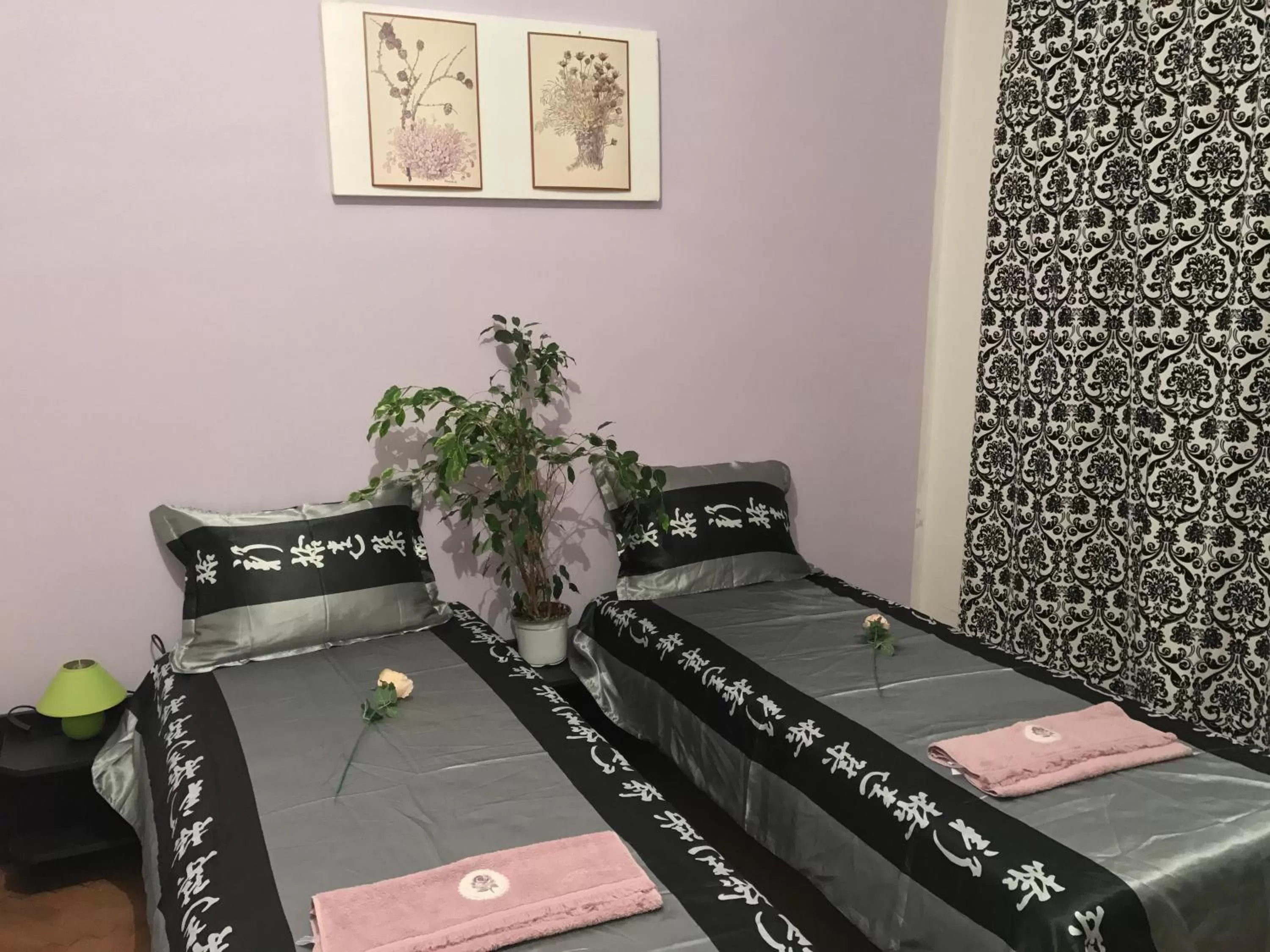 Photo of the whole room in Belle Stelle Sofia