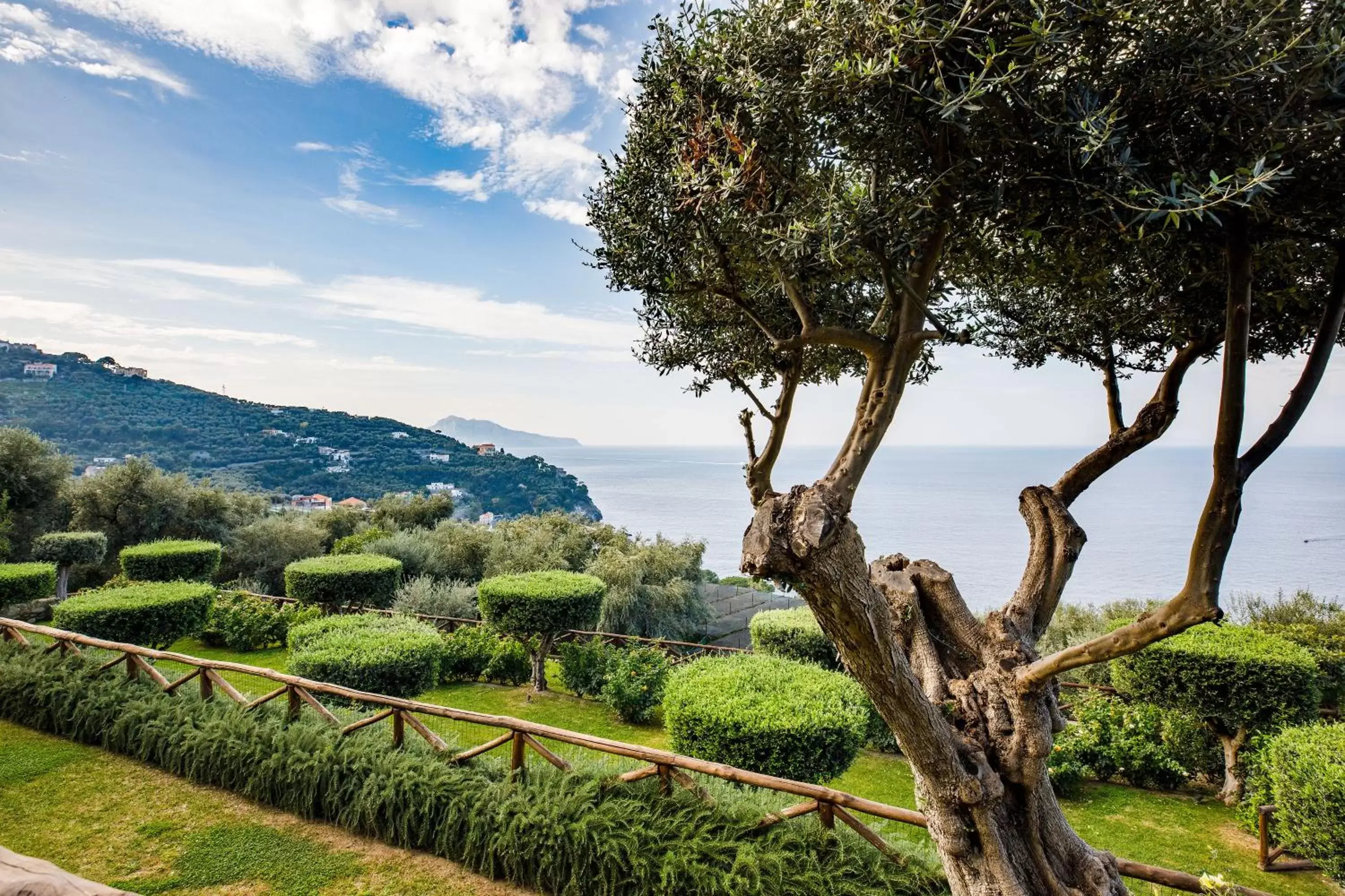 Natural landscape in Villa Fiorella Art Hotel