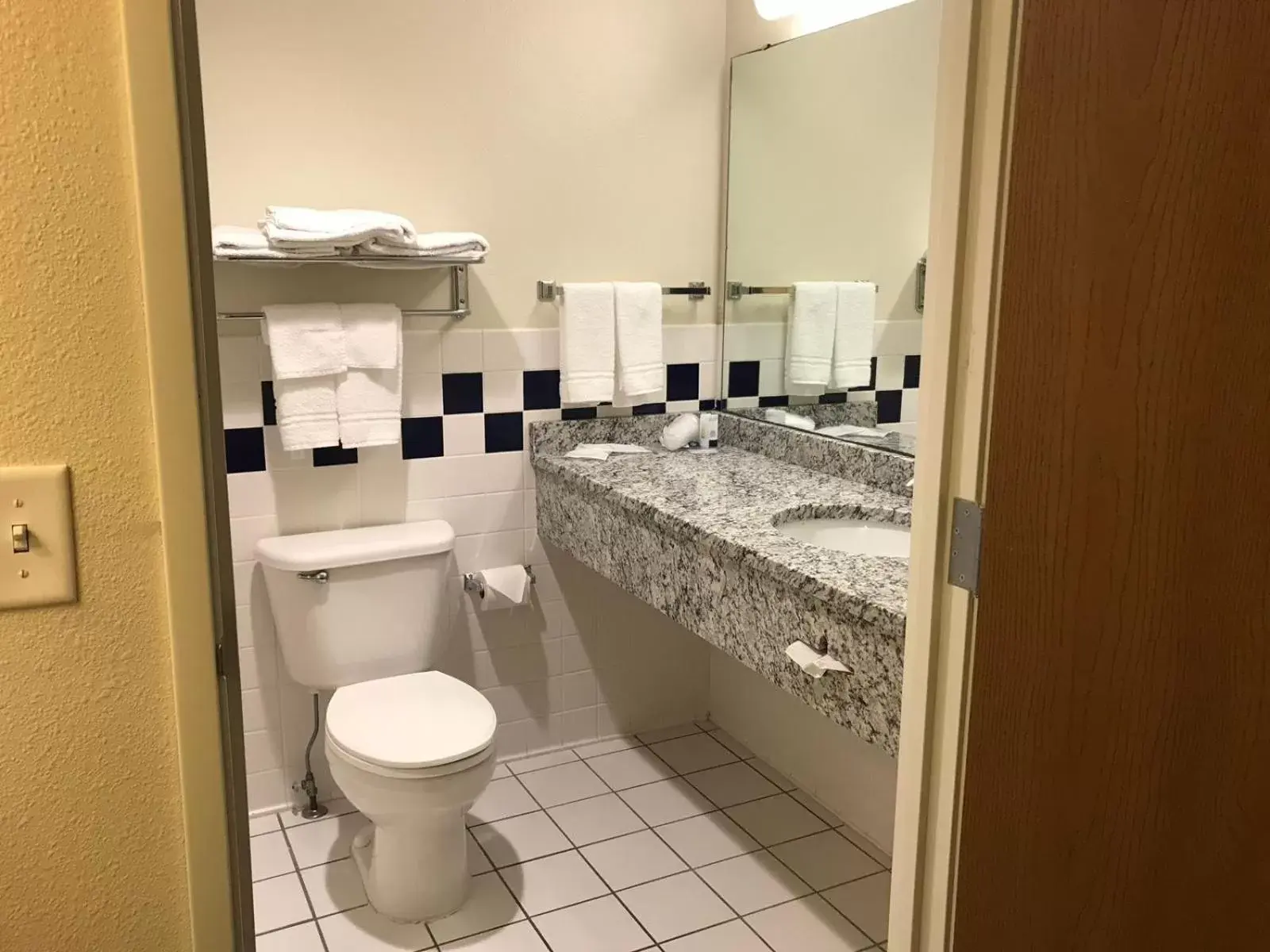 Toilet, Bathroom in AmericInn by Wyndham Hotel and Suites Long Lake