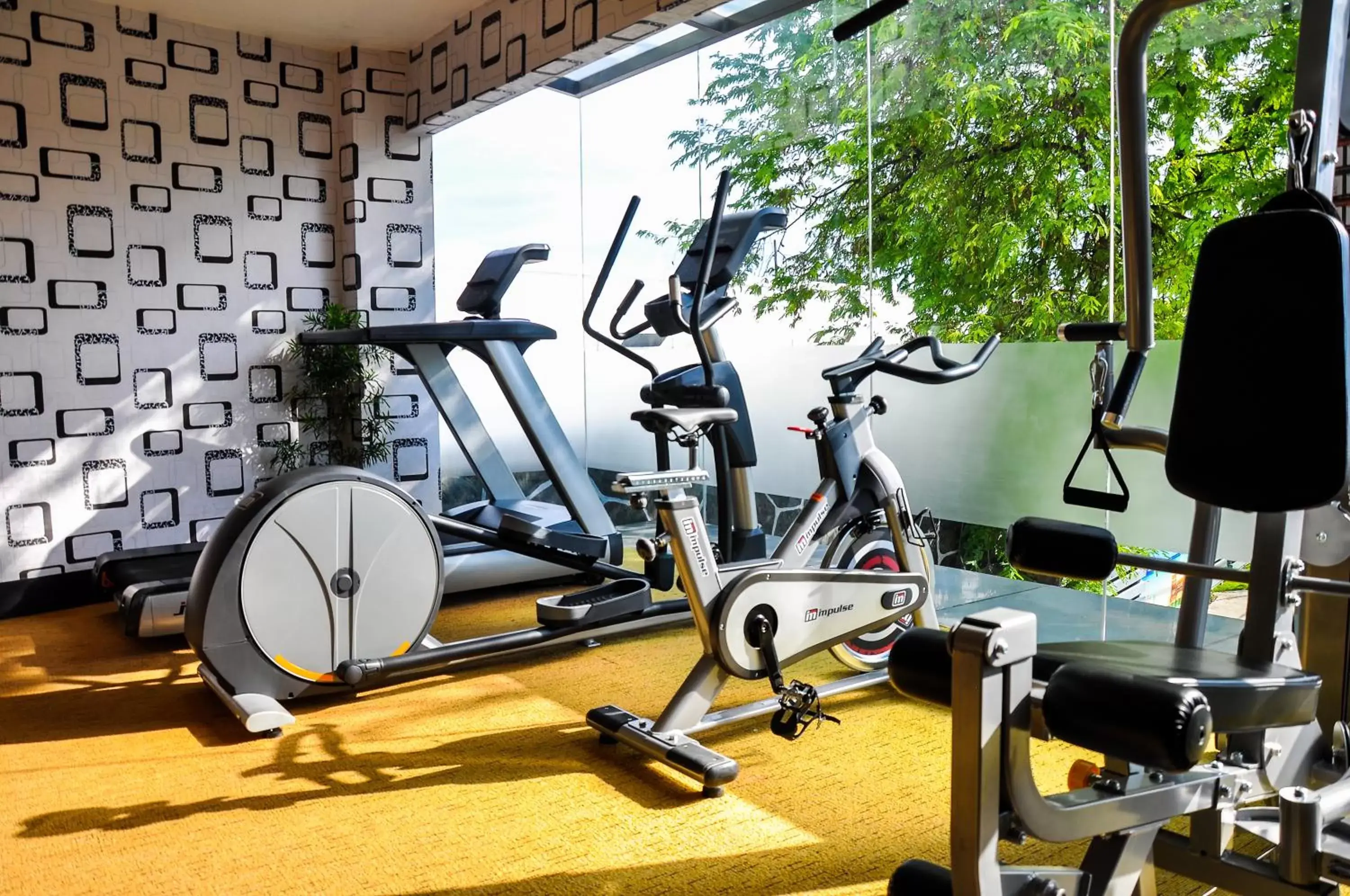 Fitness centre/facilities in Eloisa Royal Suites Fitness centre/facilities in Eloisa Royal Suites