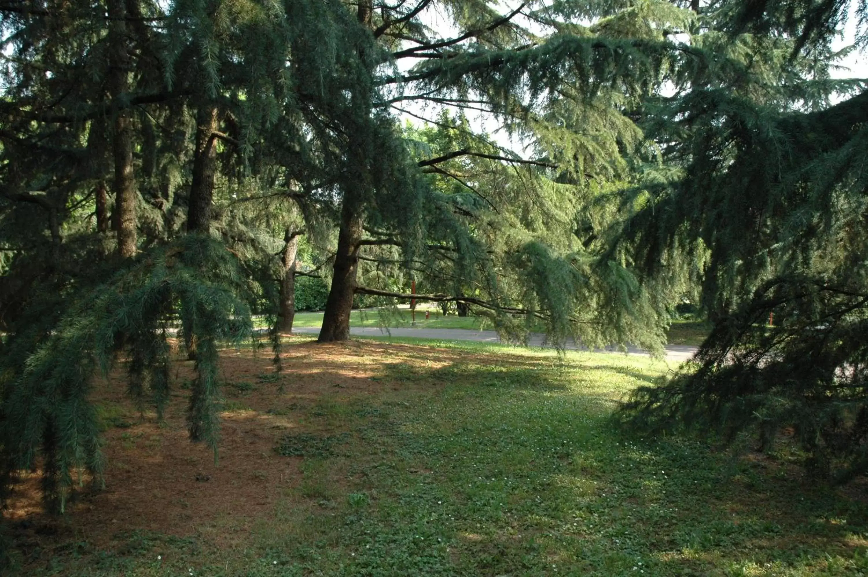 Garden view, Garden in I Salici