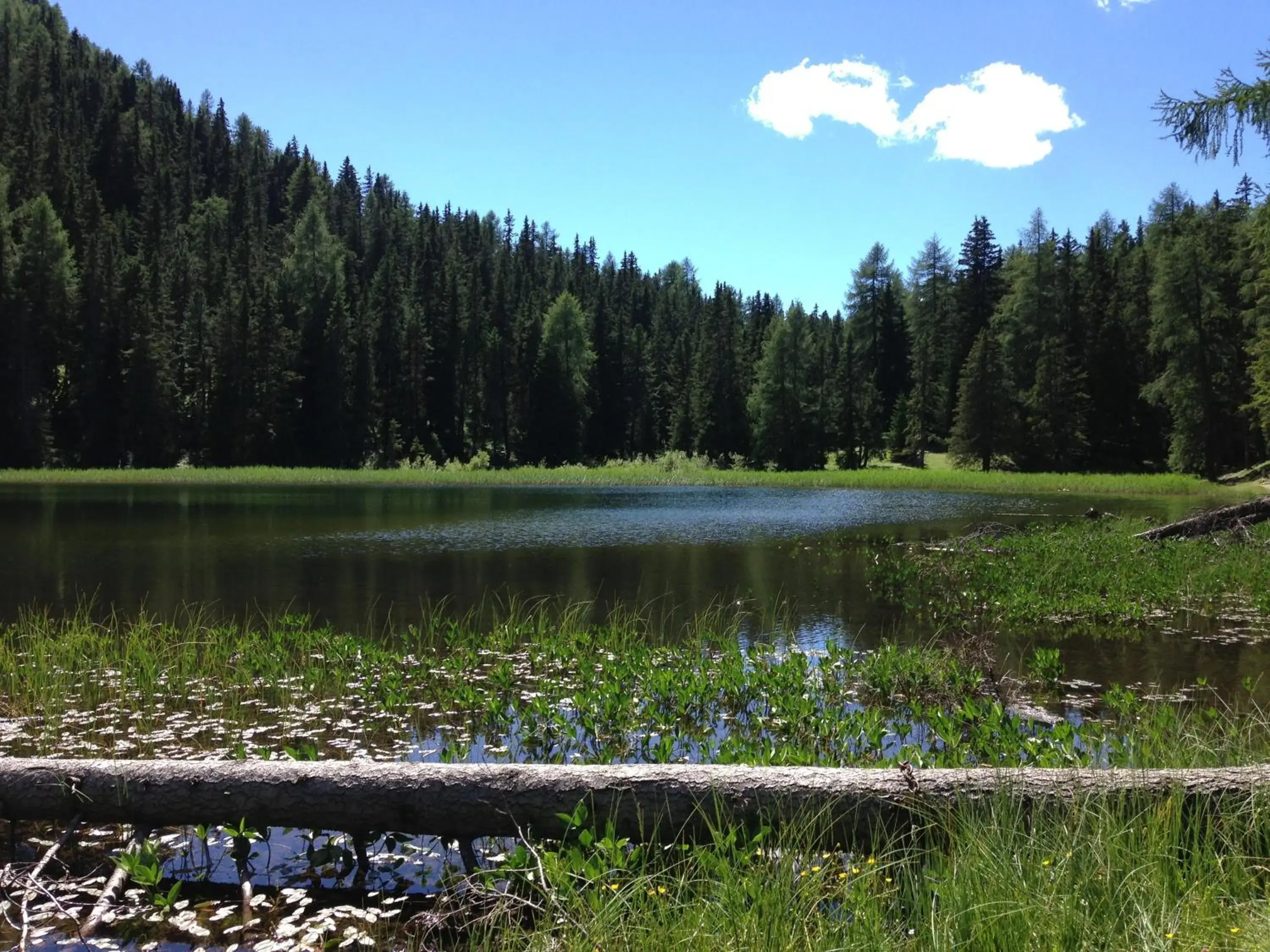 Natural landscape in Hotel Erika