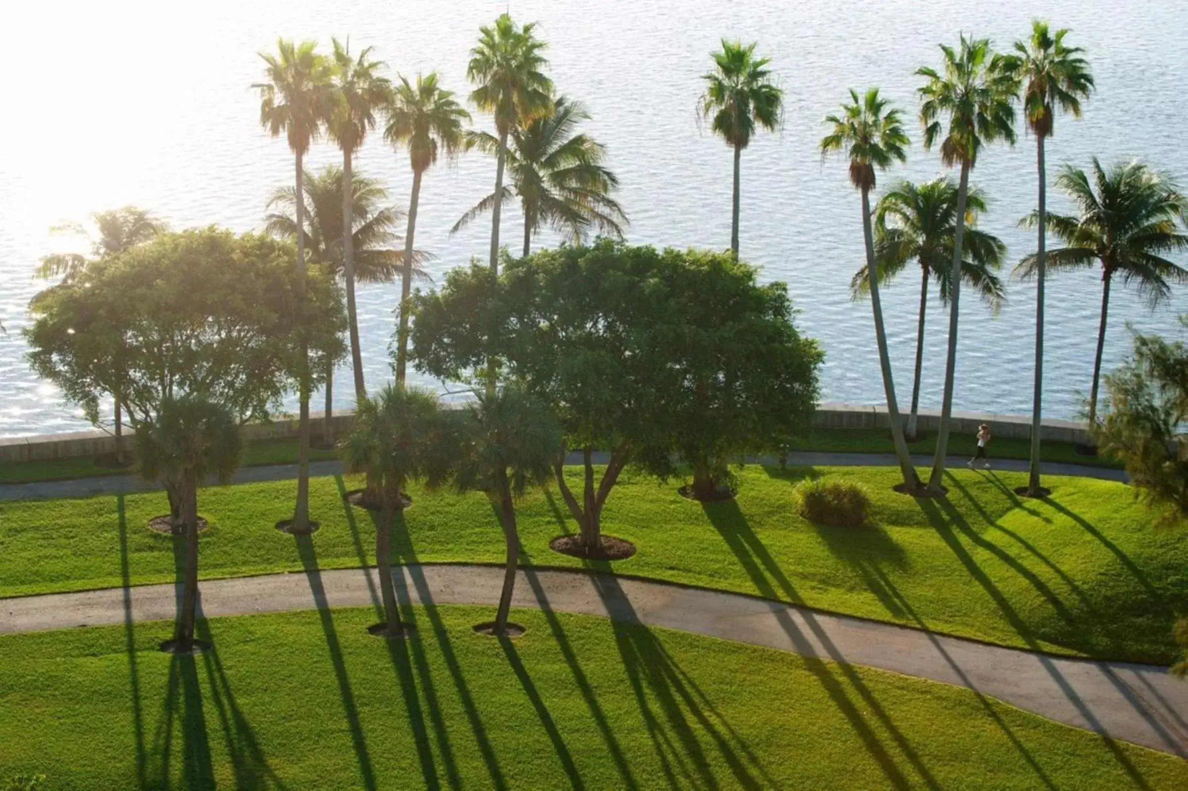 Garden view in Mandarin Oriental Miami