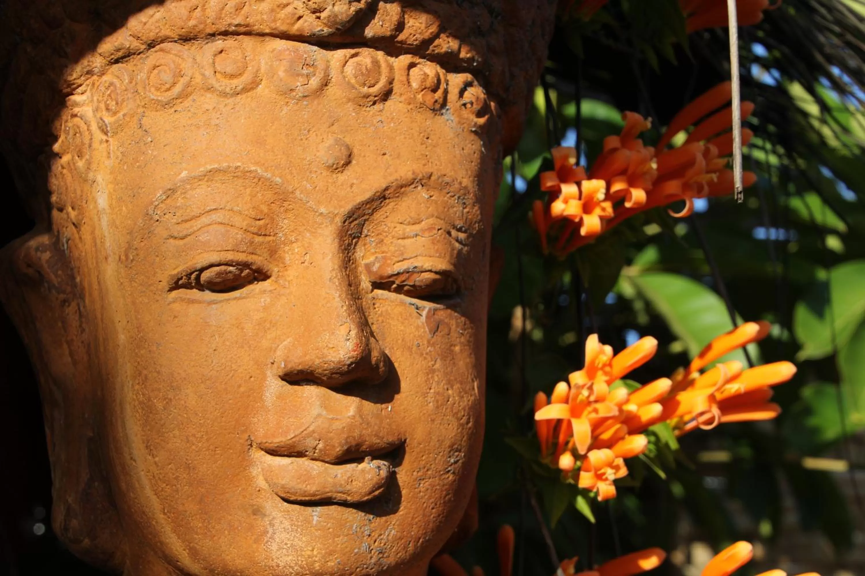 Decorative detail in Hideaway Noosa Men Only Beach Resort