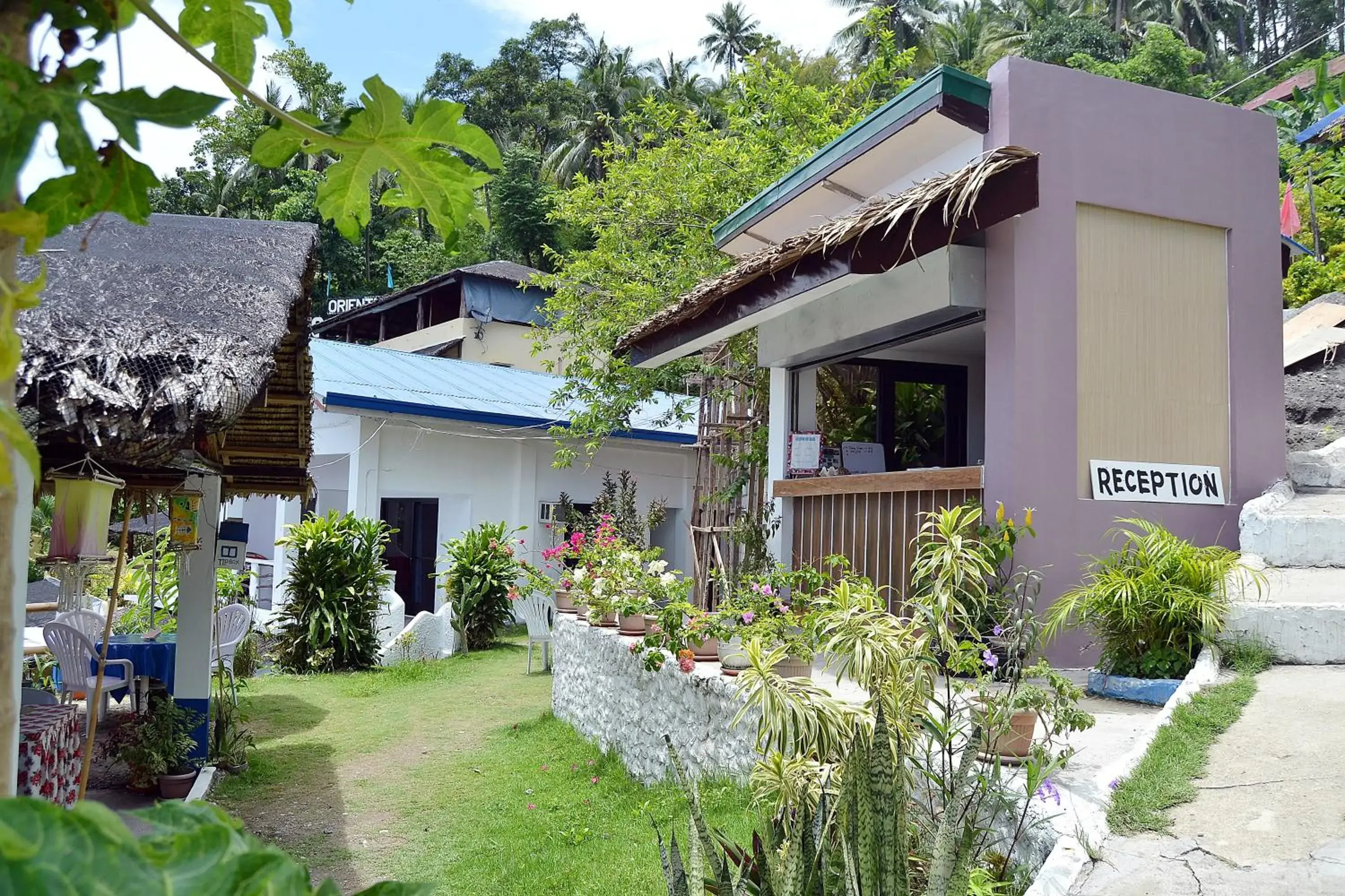 Lobby or reception, Property Building in Bellevue Resort