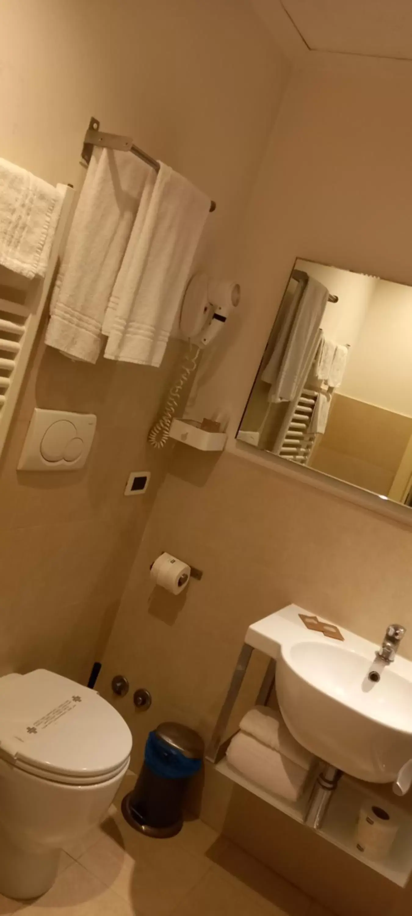 Bathroom in Hotel Aniene