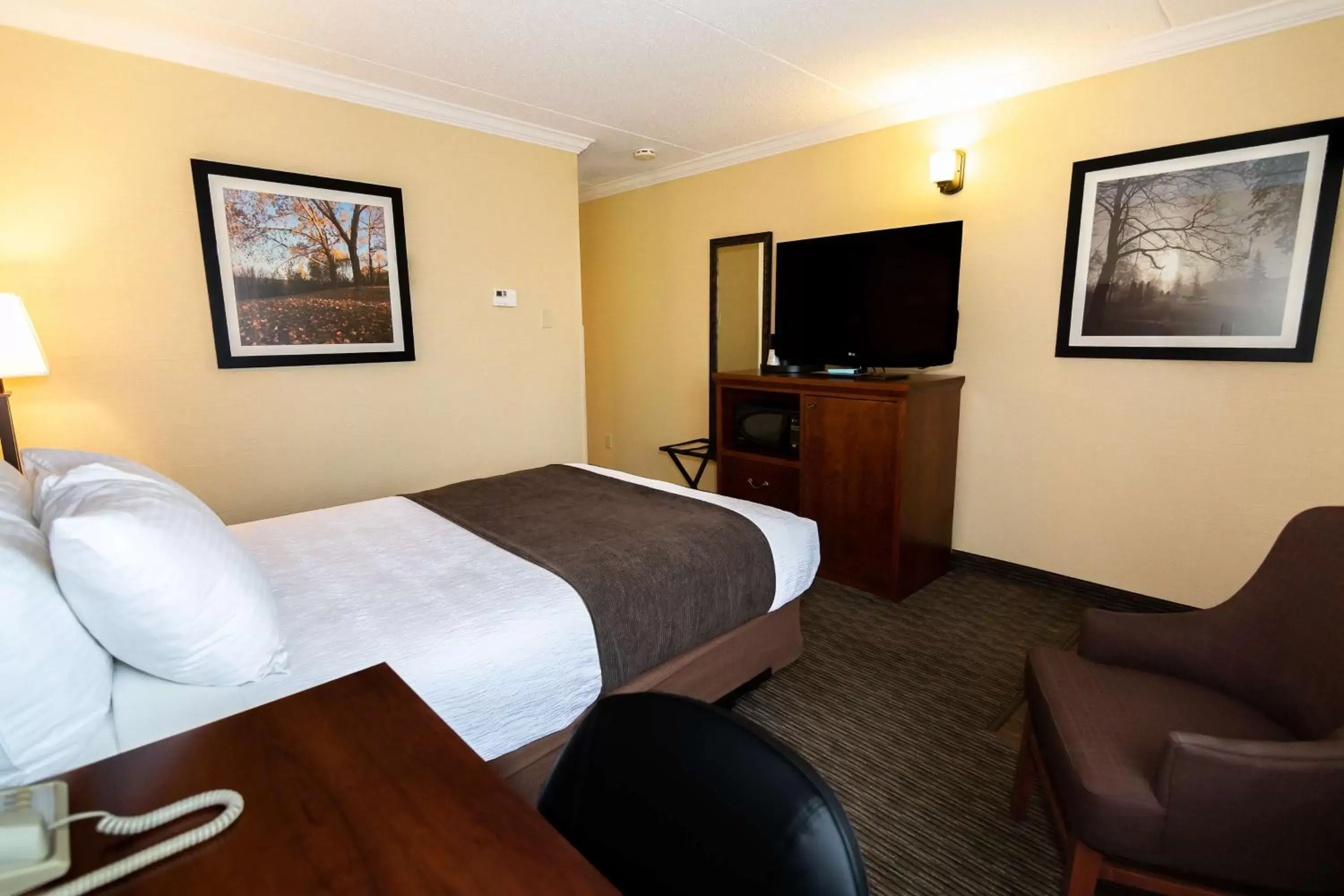 Photo of the whole room, TV/Entertainment Center in Best Western Plus Dryden Hotel and Conference Centre
