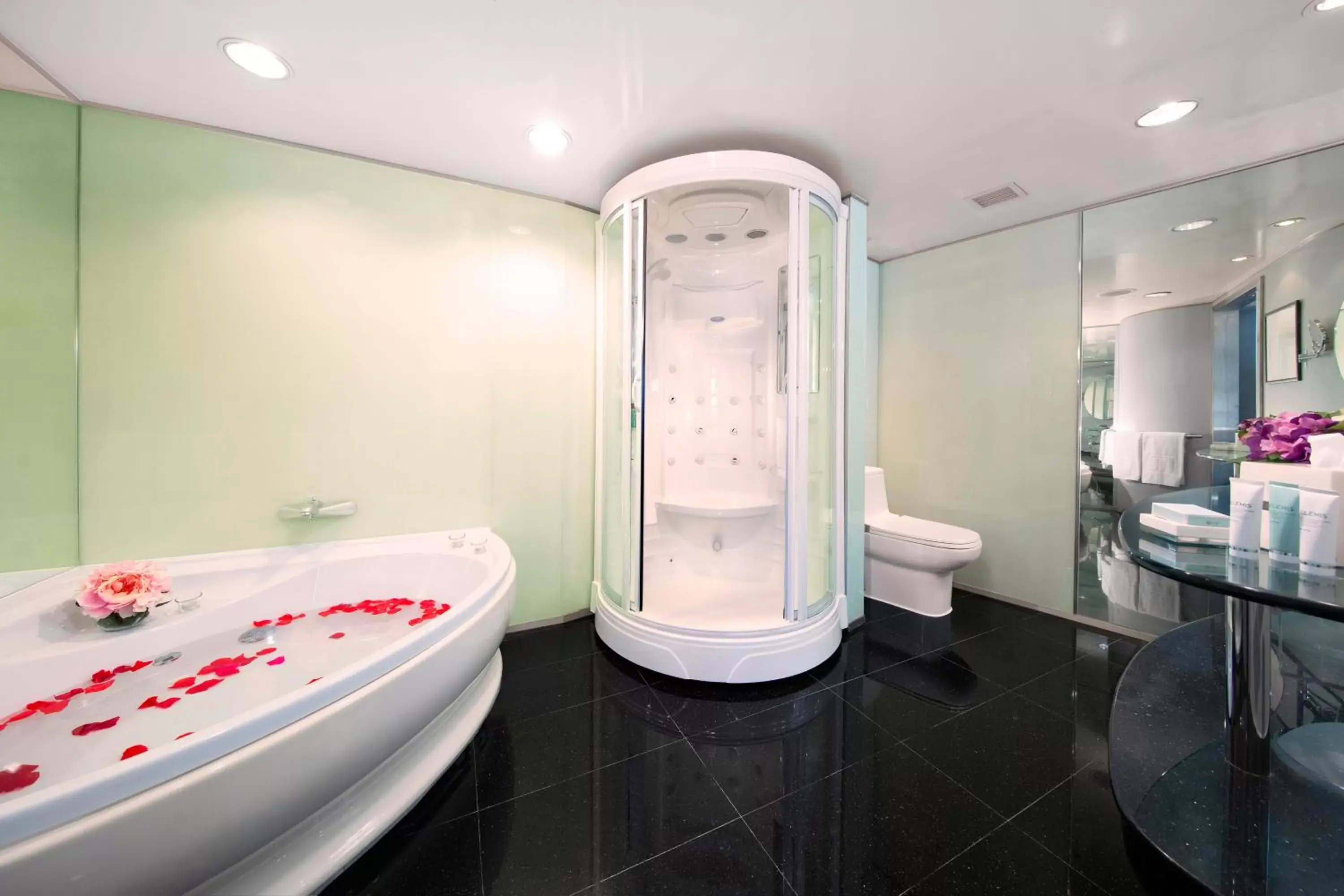 Toilet, Bathroom in Regal Airport Hotel